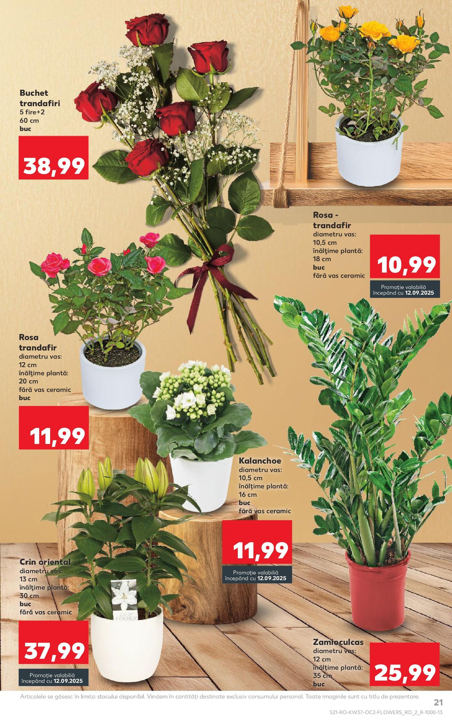 Catalog Kaufland - Bucureşti - cataloage valabile începând cu 10.09.2025 pagina 21 din 62