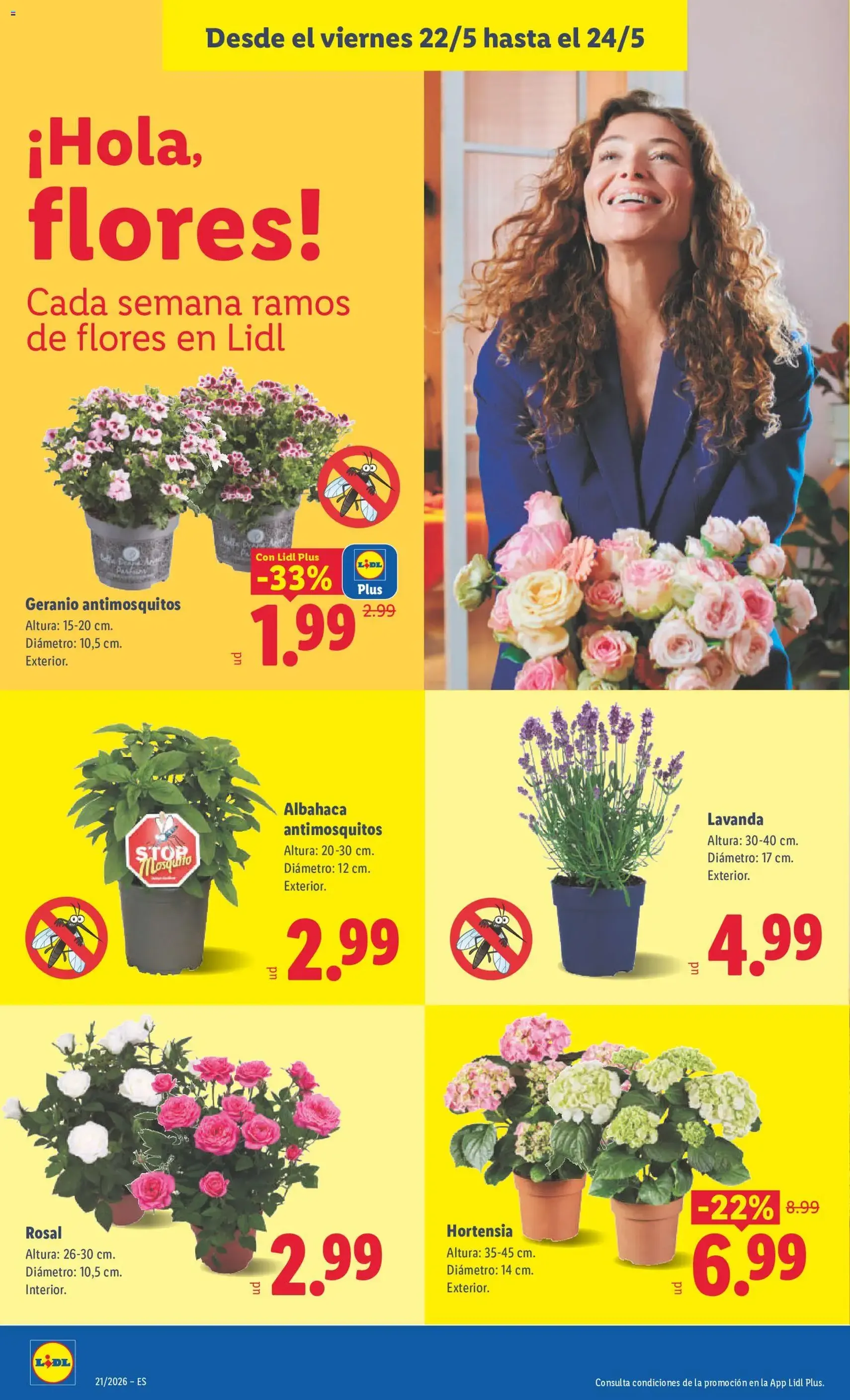 Lidl folleto - folleto válido desde 18/05/2026 página 46 de 47