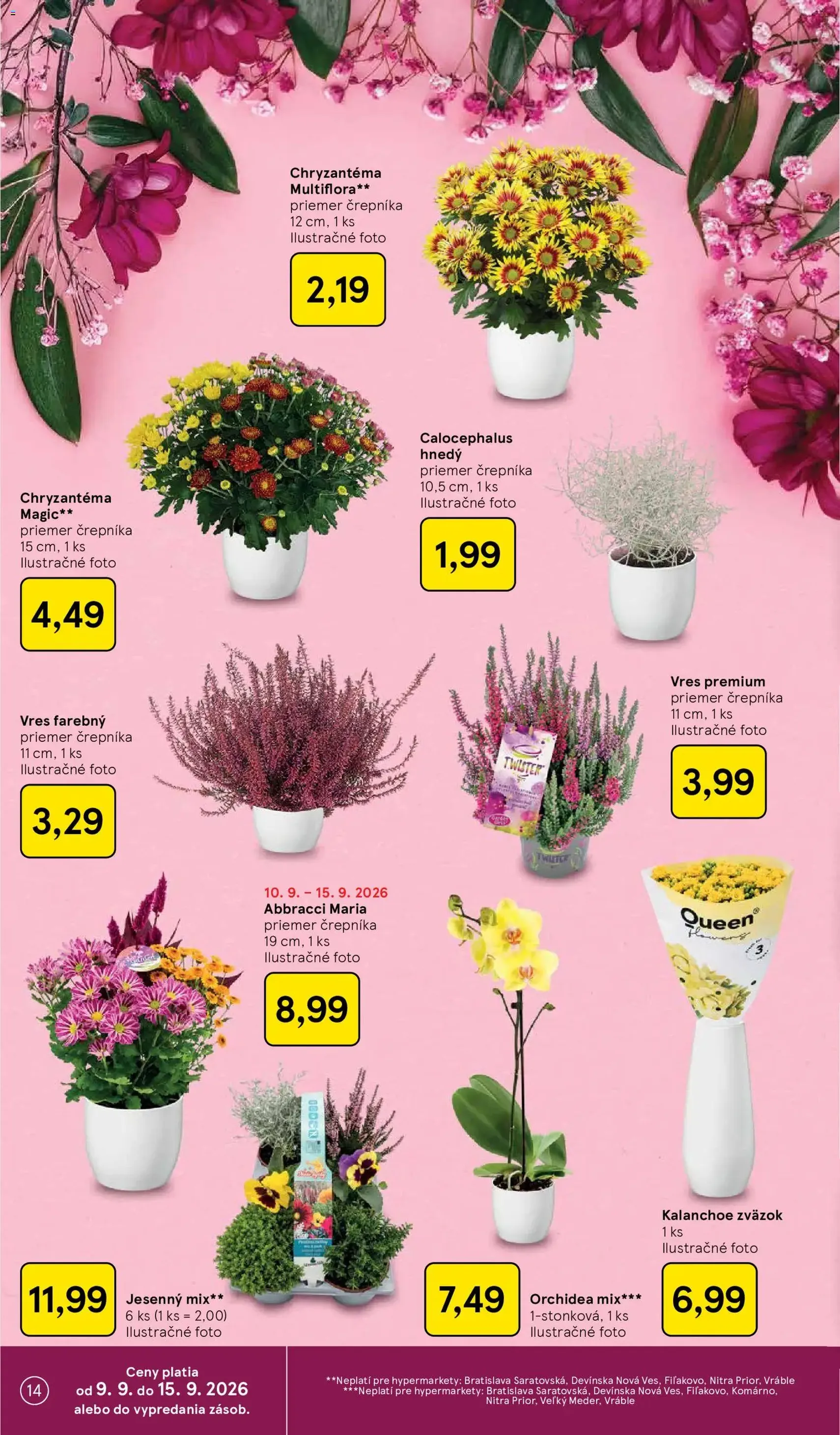 Tesco Hypermarket - leták - platný leták od 09.09.2026 strana 14 z 46