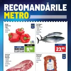 Metro Catalog - previzualizare cataloage valabilă începând cu 15.06.2026
