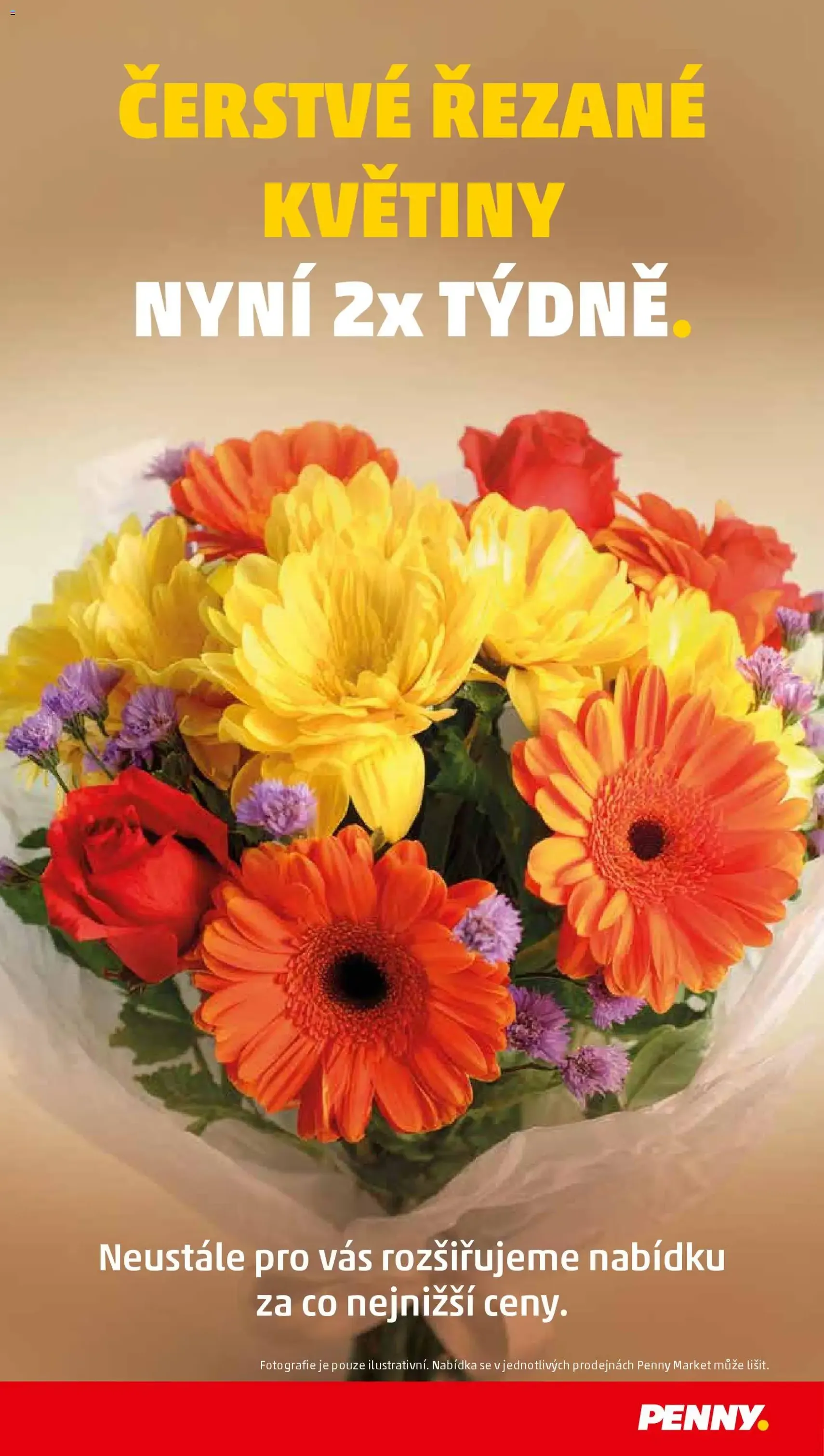 Penny Market leták - Čtvrtečník - platný leták od 04.12.2025 strana 36 z 42
