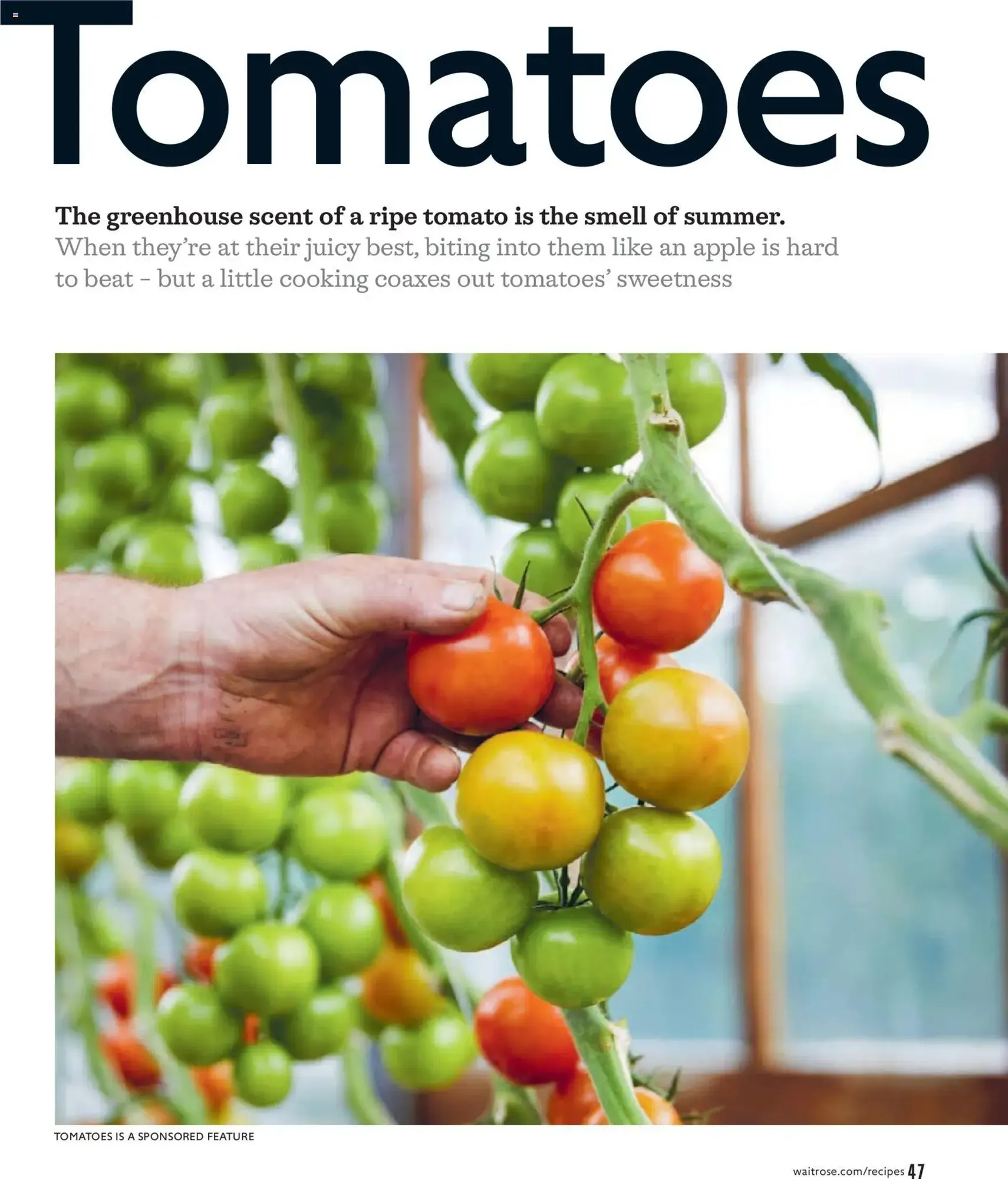 Waitrose Offers - valid flyer from 03/06/2026, page 47 of 128