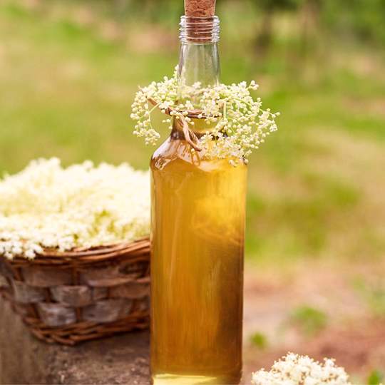 Anteprima ricetta Liquore di sambuco
