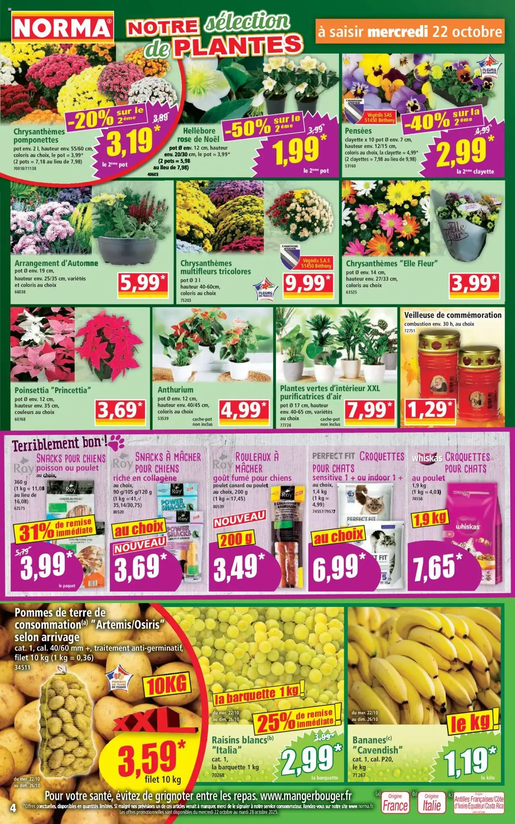Norma catalogue - brochure valable à partir du 22/10/2025, page 4 sur 12 Norma catalogue - brochure valable à partir du 22/10/2025, page 4 sur 12