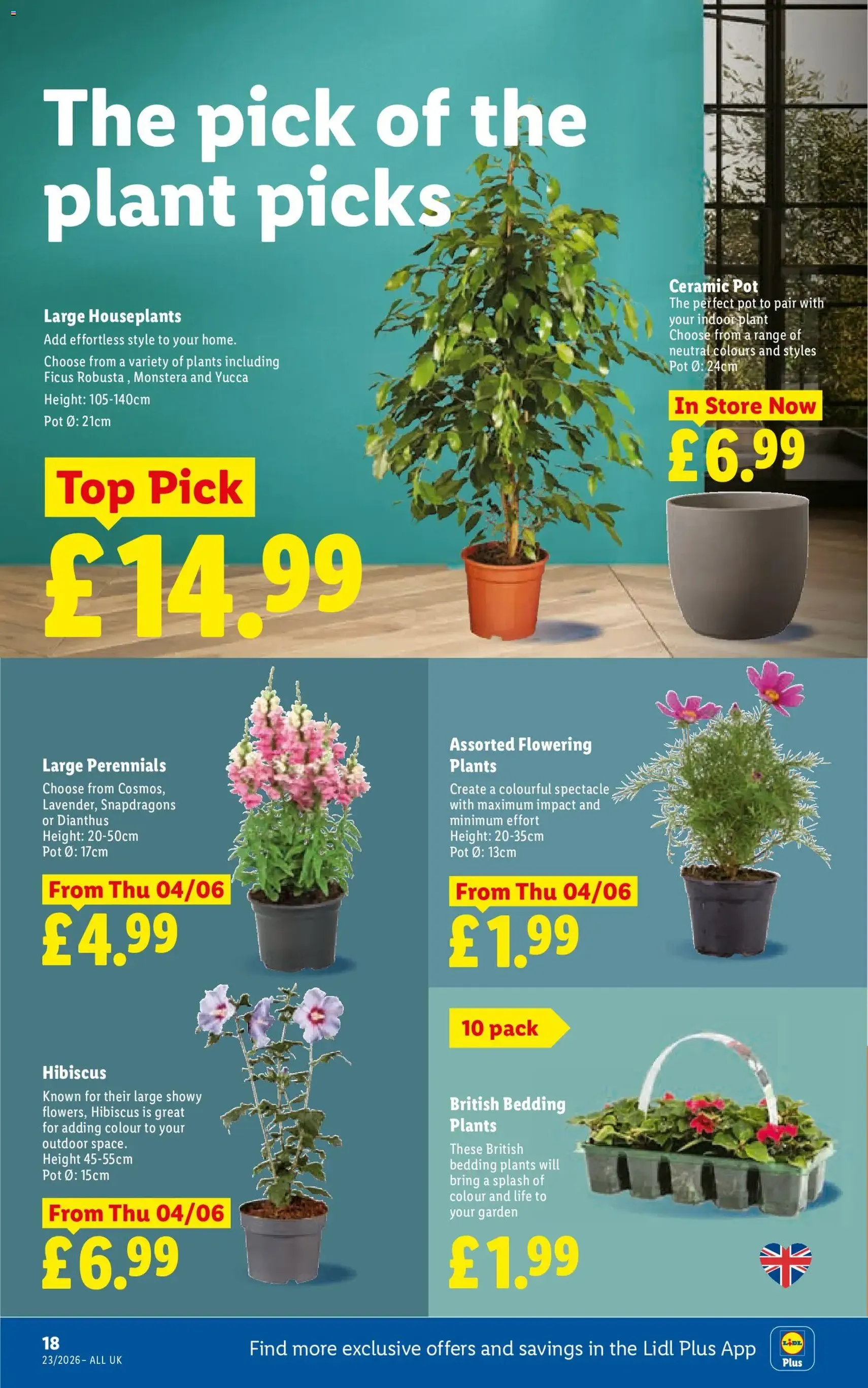 Weekly offers Lidl - valid flyer from 04/06/2026, page 20 of 28