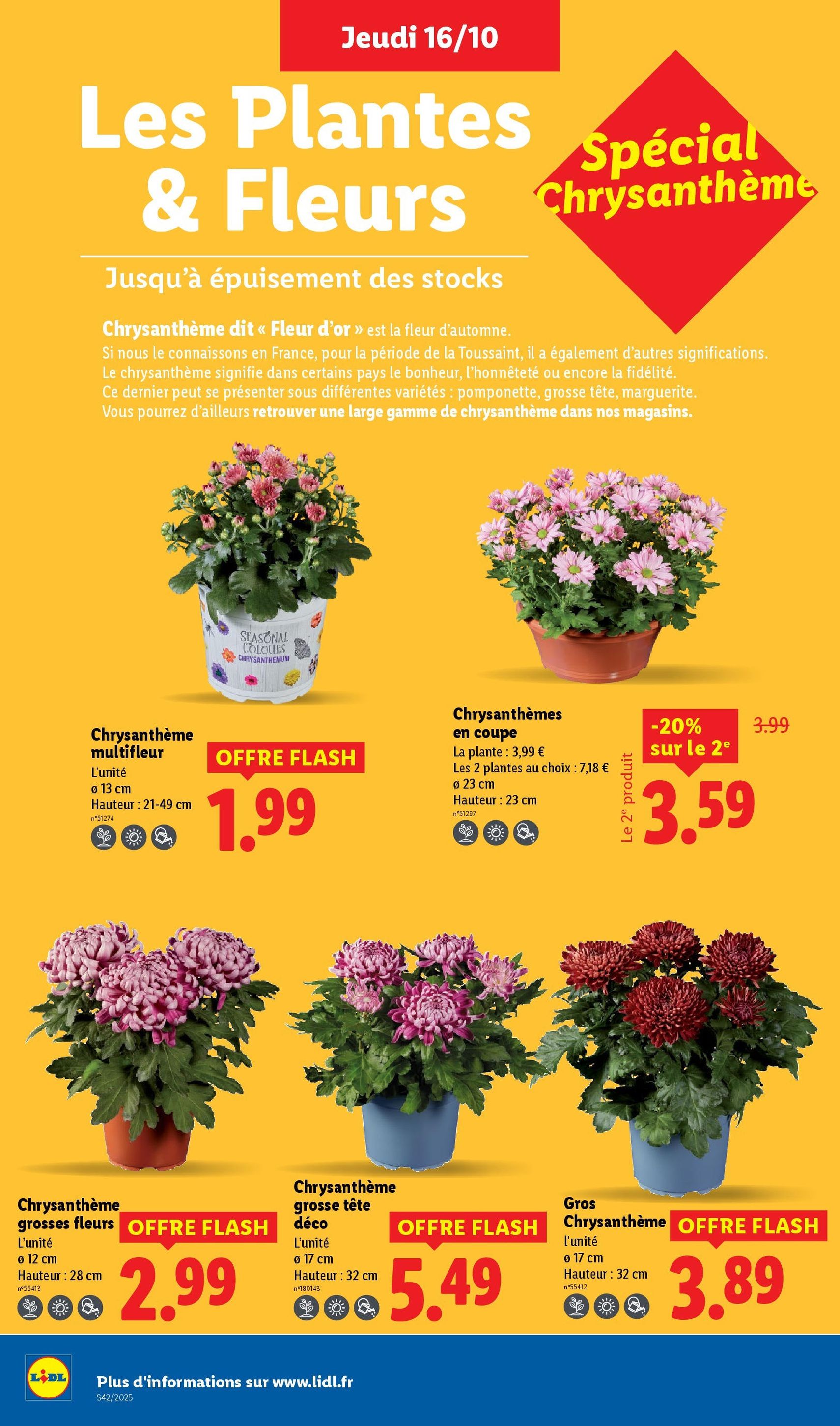 LIDL catalogue semaine 42 - brochure valable à partir du 16/10/2025, page 36 sur 82 LIDL catalogue semaine 42 - brochure valable à partir du 16/10/2025, page 36 sur 82