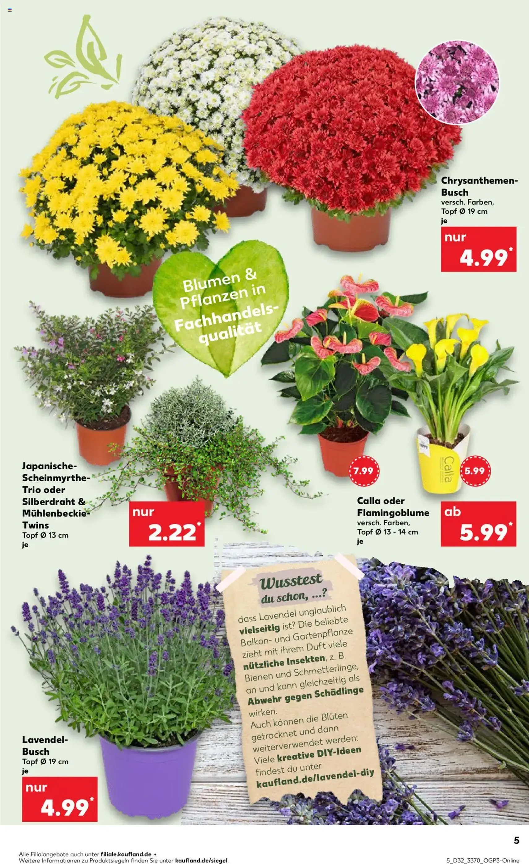Kaufland Prospekt - Gültiger Prospekt ab 07.08.2025, Seite 5 von insgesamt 60 Kaufland Prospekt - Gültiger Prospekt ab 07.08.2025, Seite 5 von insgesamt 60