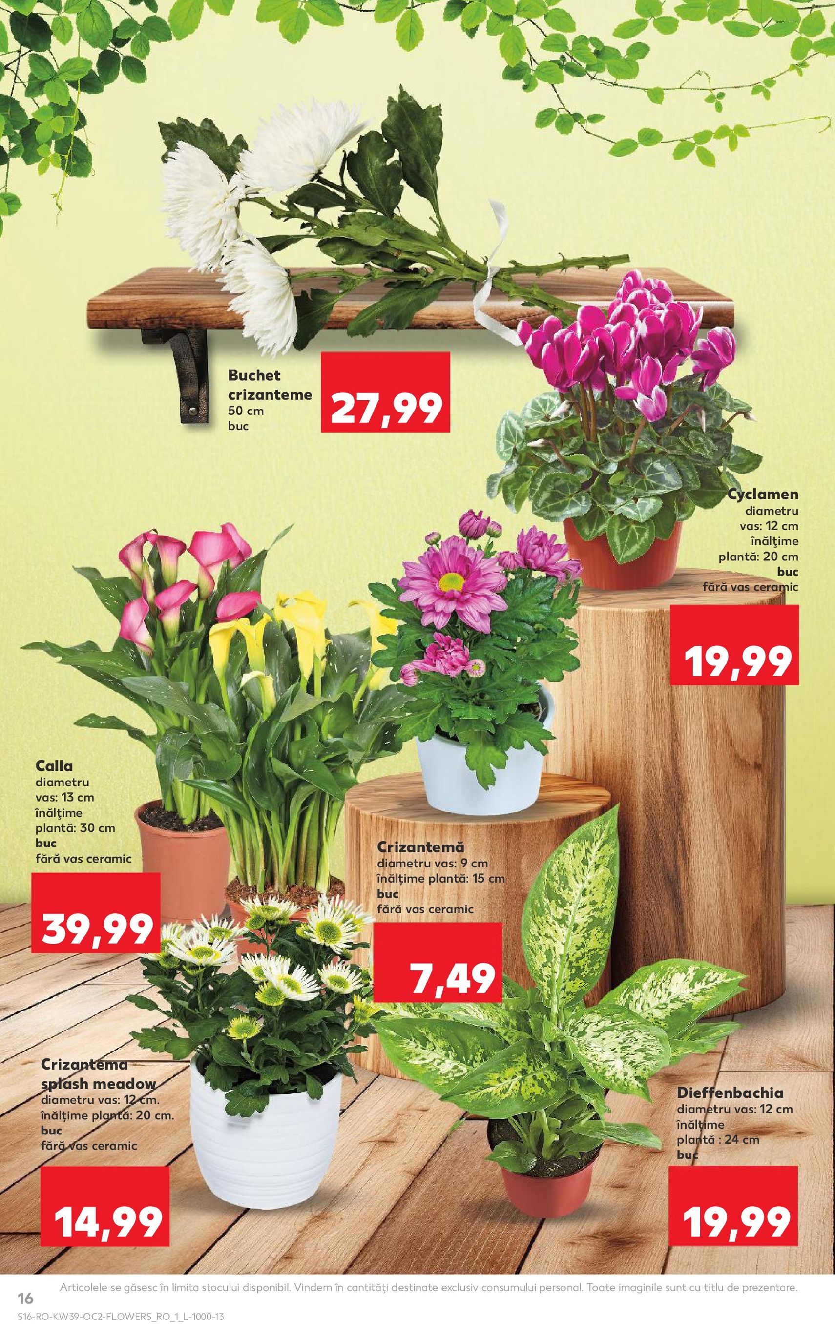 Catalog Kaufland - Bucureşti - cataloage valabile începând cu 24.09.2025 pagina 16 din 64
