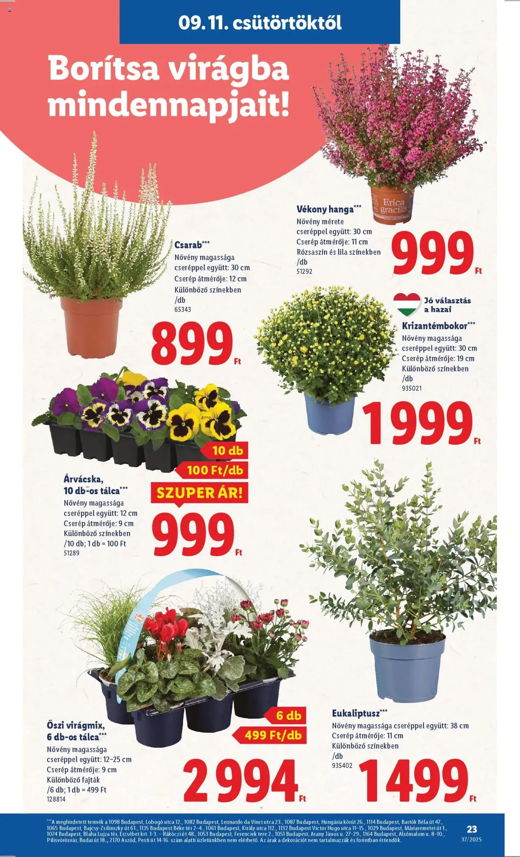 Lidl Akciós újság - 2025.09.11. érvényes szórólap 23 oldal 66 oldalból Lidl Akciós újság - 2025.09.11. érvényes szórólap 23 oldal 66 oldalból