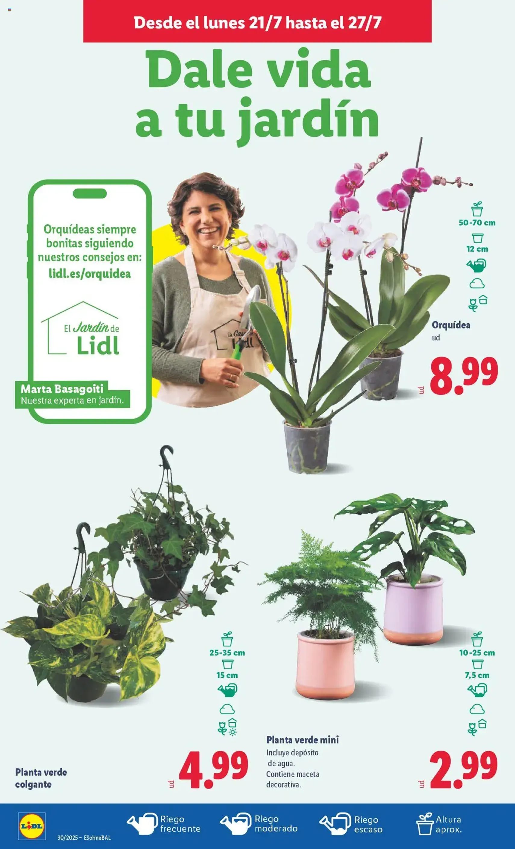 Lidl folleto - folleto válido desde 21/07/2025 página 32 de 33 Lidl folleto - folleto válido desde 21/07/2025 página 32 de 33