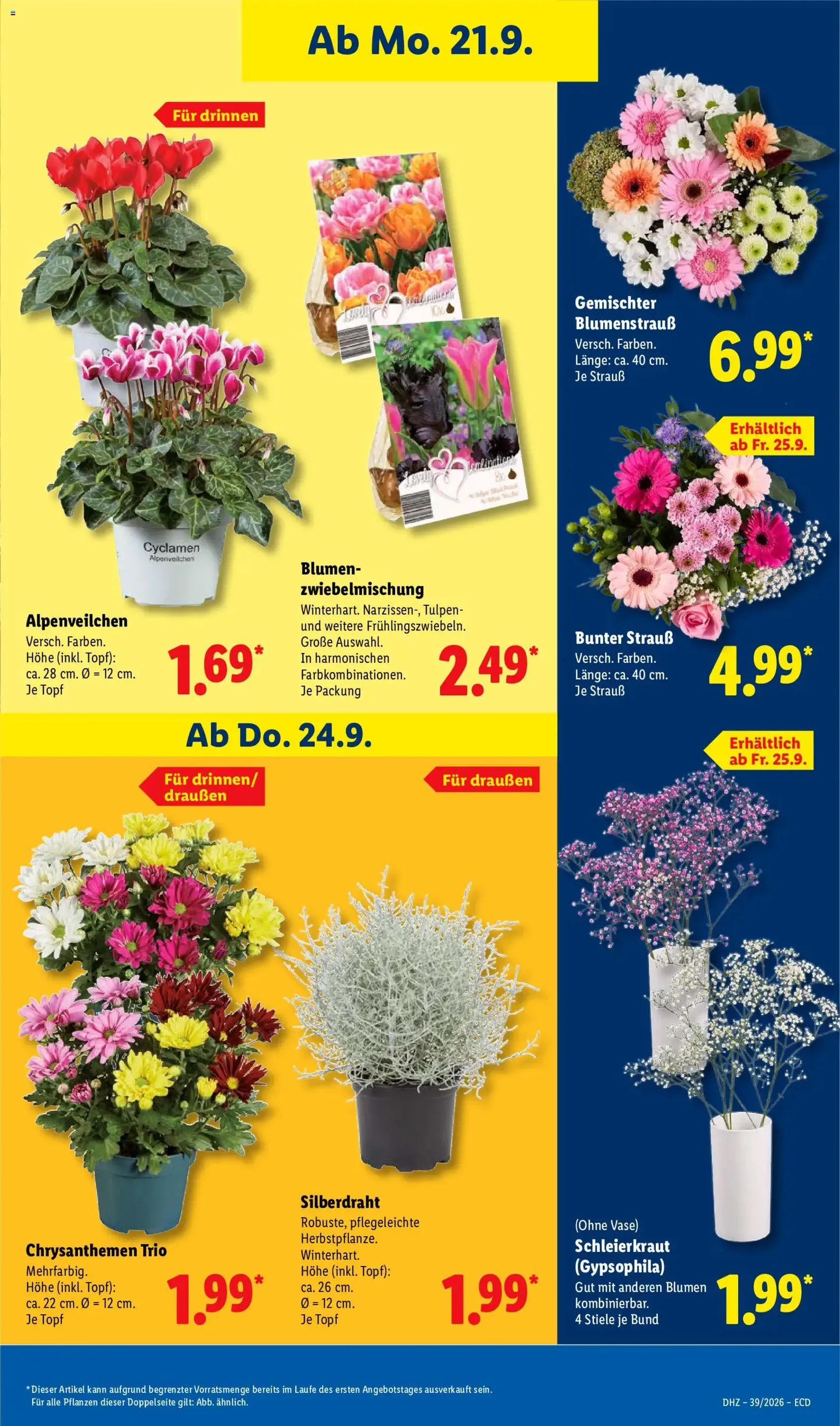 Lidl Prospekt - Gültiger Prospekt ab 21.09.2026, Seite 21 von insgesamt 65