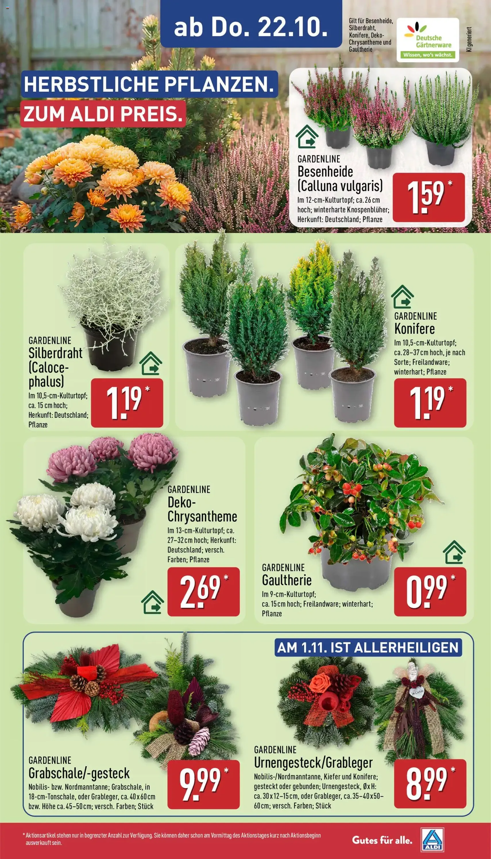 Aldi Prospekt - Gültiger Prospekt ab 19.10.2026, Seite 29 von insgesamt 46