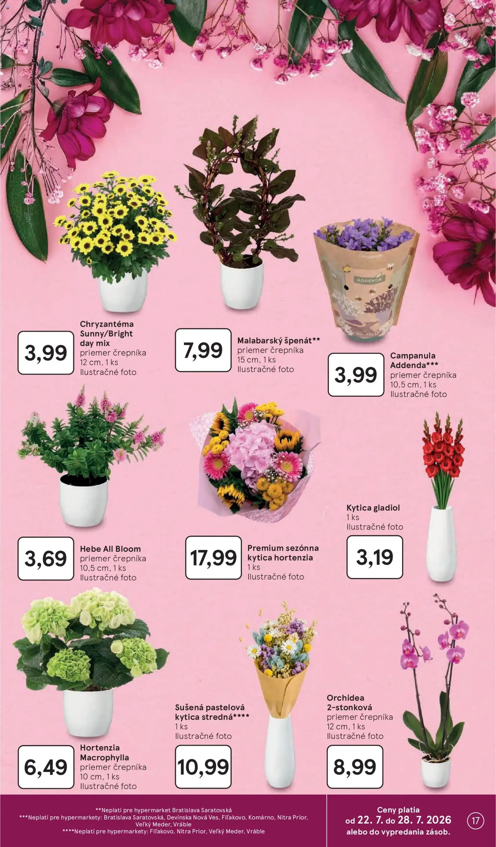 Tesco Hypermarket - leták - platný leták od 22.07.2026 strana 17 z 50