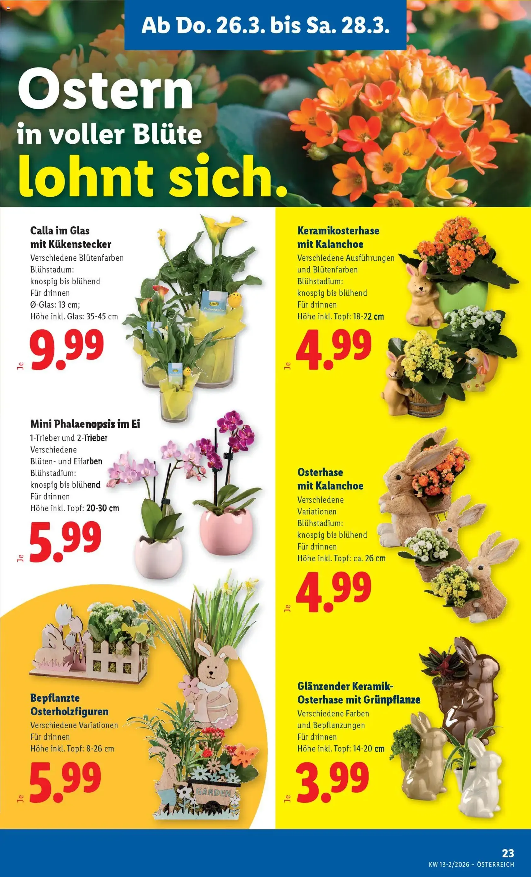 Lidl - Flugblatt - Gültiger Prospekt ab 26.03.2026, Seite 25 von insgesamt 47