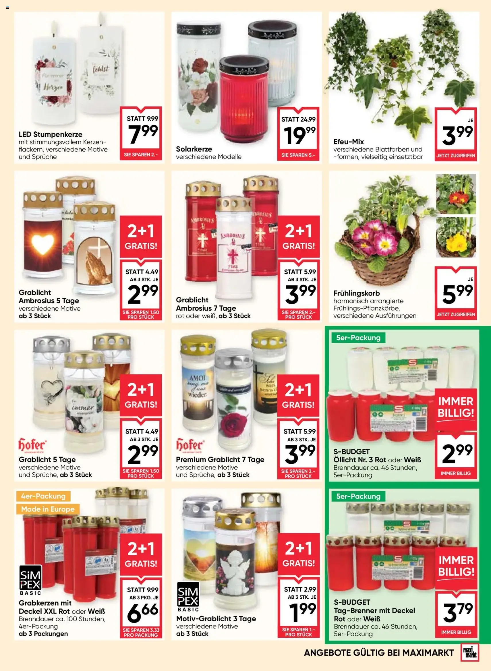 Maximarkt Flugblatt - Gültiger Prospekt ab 26.03.2026, Seite 17 von insgesamt 24