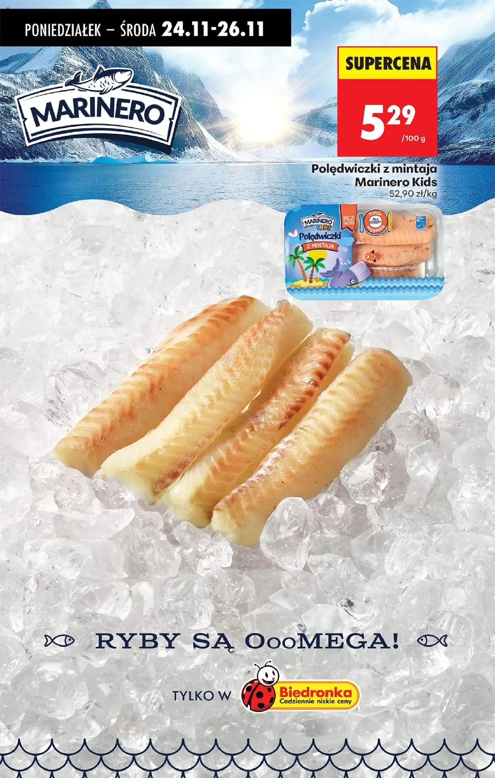 Biedronka Black Friday - ważny gazetka od 24.11.2025 strona 44 z 95