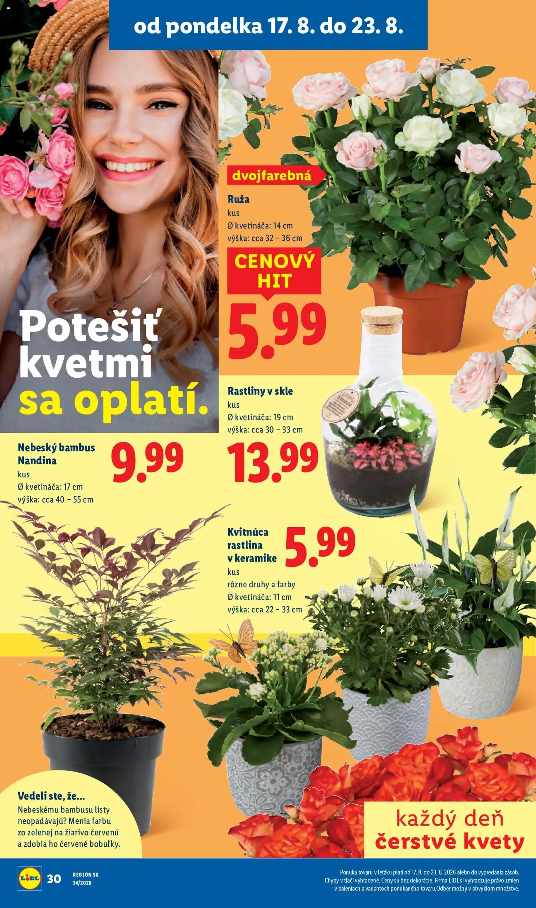 Lidl leták - platný leták od 17.08.2026 strana 42 z 95