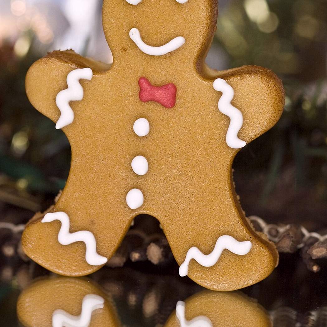I tradizionali biscotti natalizi di pan di zenzero della nonna