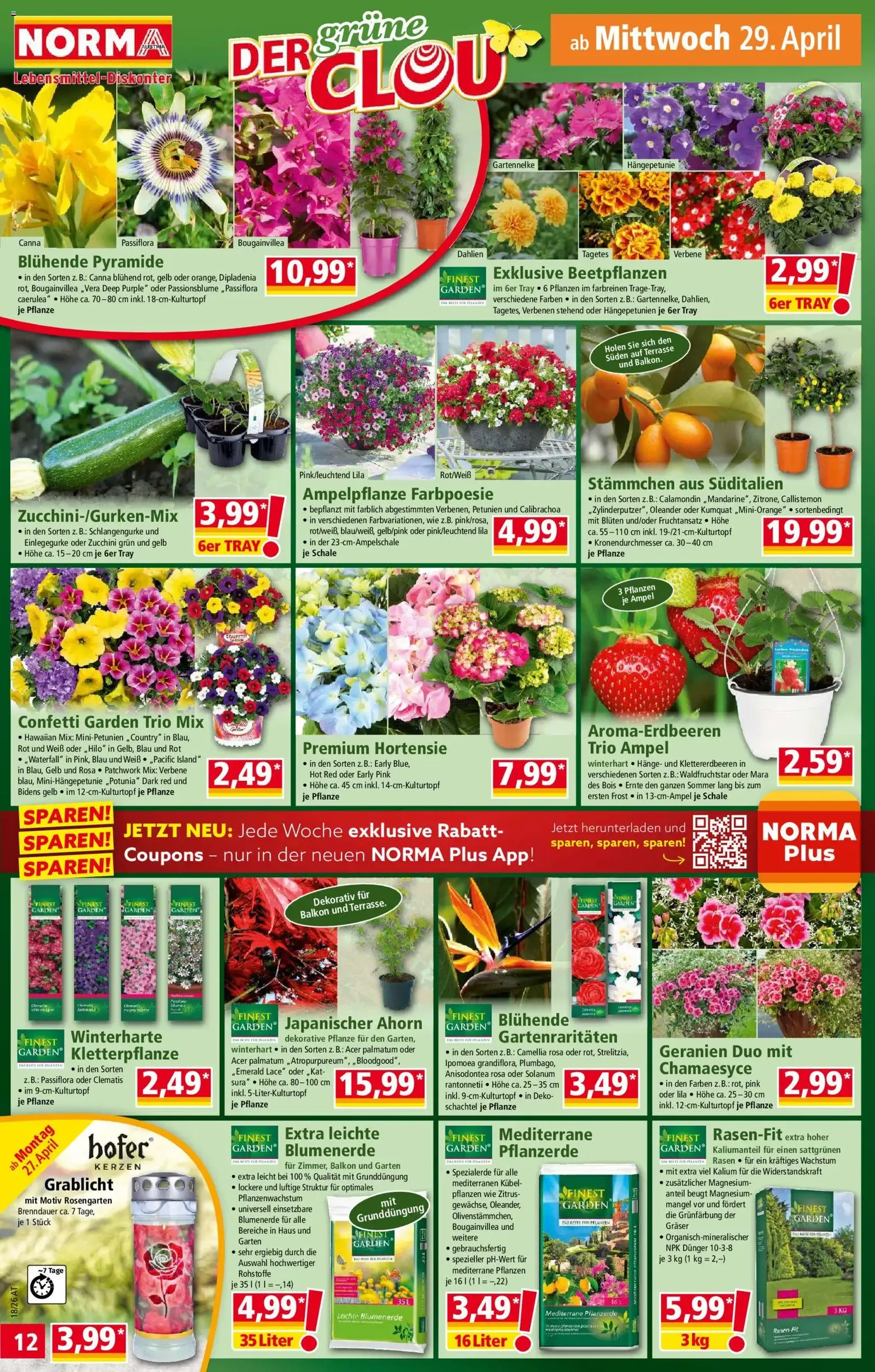 Norma Flugblatt - Gültiger Prospekt ab 27.04.2026, Seite 12 von insgesamt 17