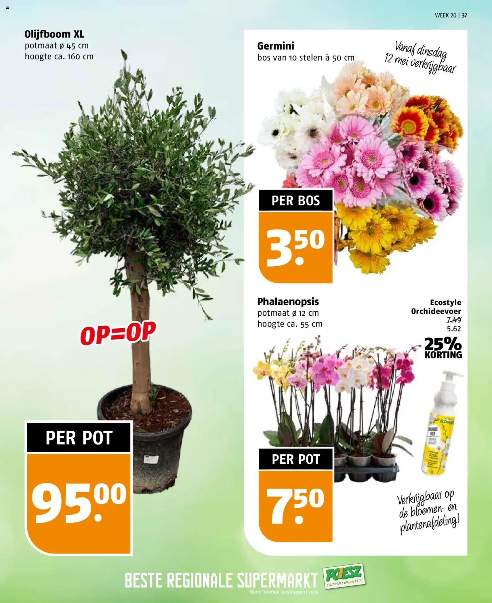 Poiesz folder - geldige folder vanaf 10-05-2026 pagina 37 van 40