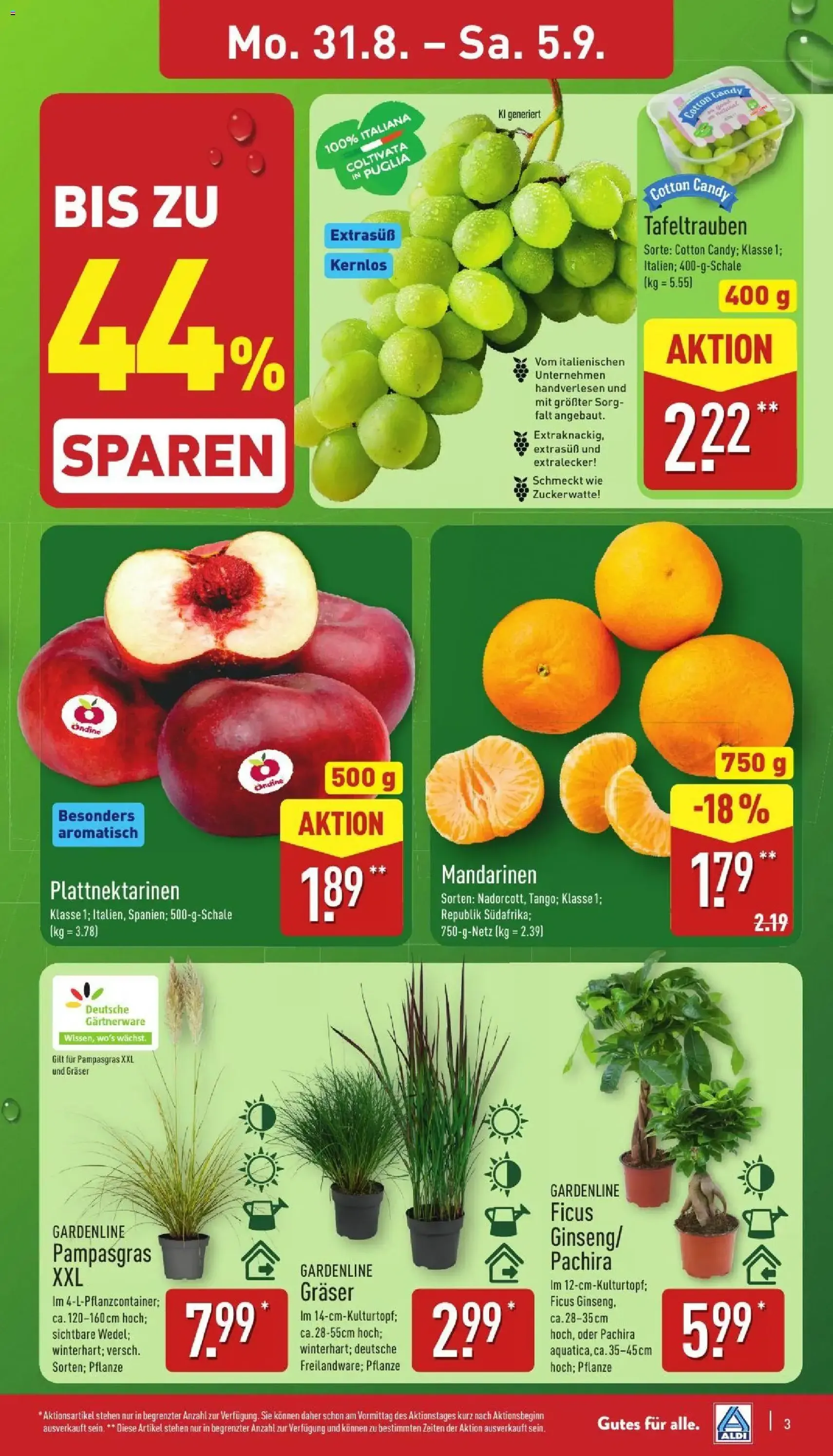 Aldi Prospekt - Gültiger Prospekt ab 31.08.2026, Seite 3 von insgesamt 41