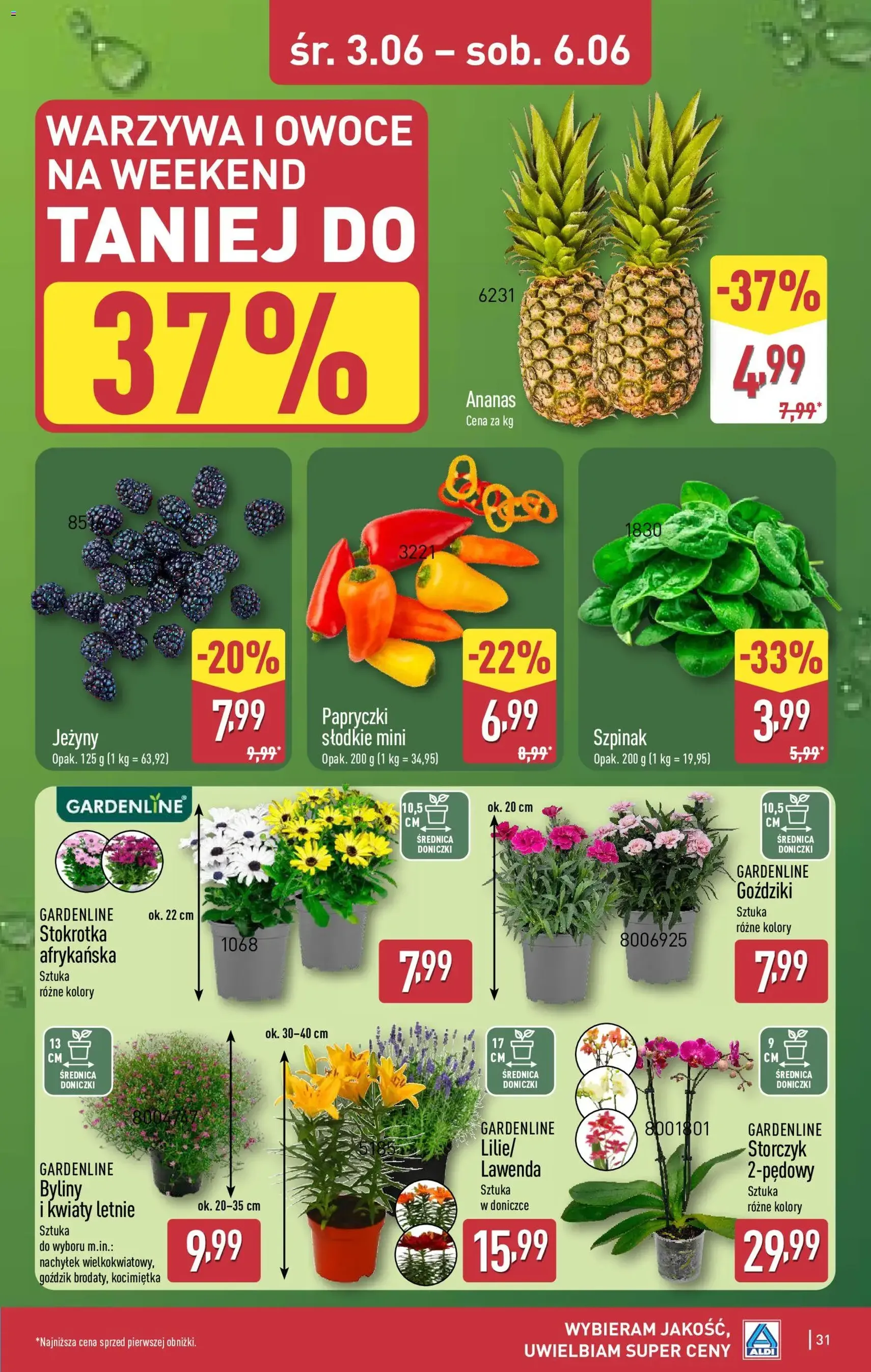 Aldi gazetka - ważny gazetka od 01.06.2026 strona 31 z 44