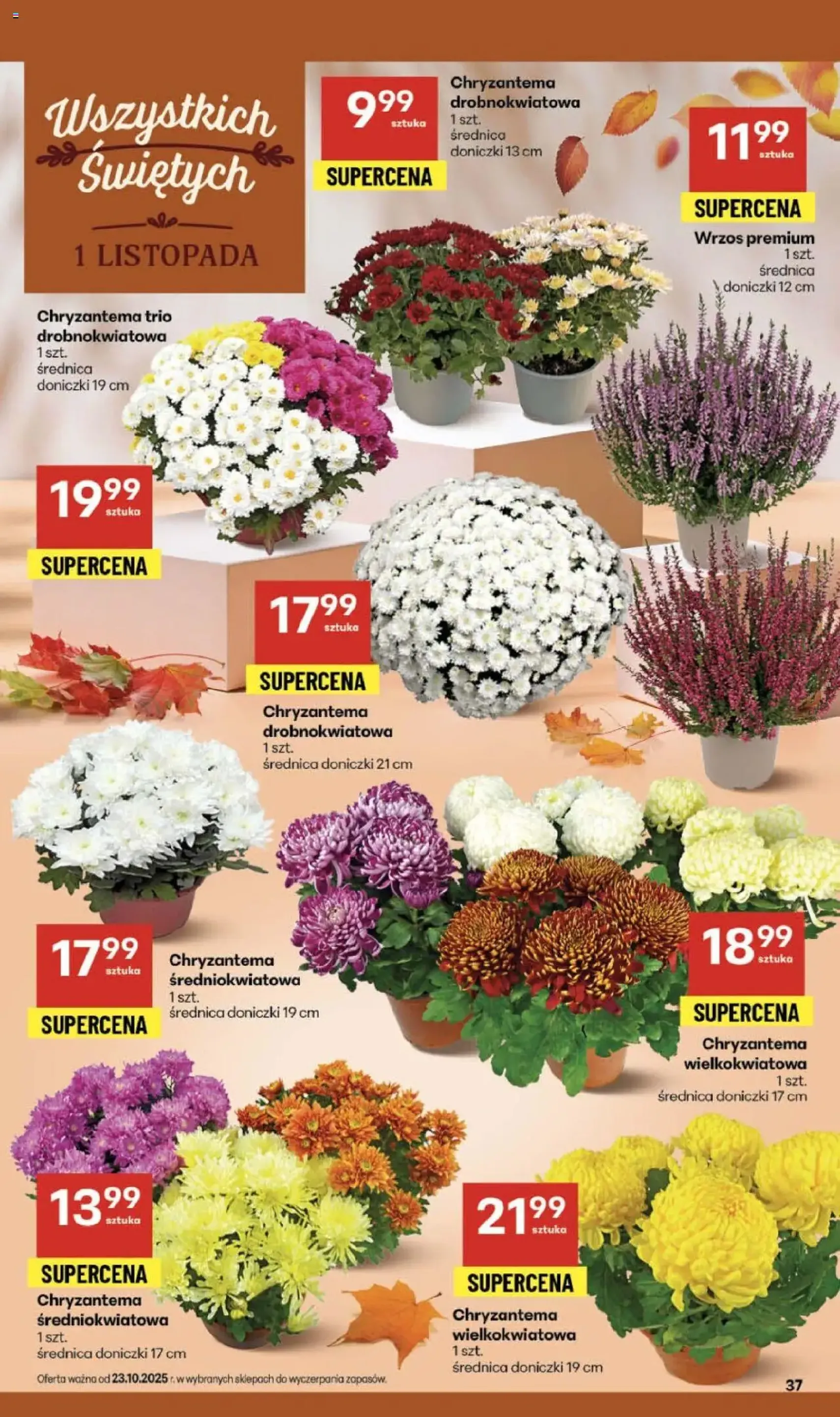 Delikatesy Centrum Gazetka - ważny gazetka od 23.10.2025 strona 37 z 40 Delikatesy Centrum Gazetka - ważny gazetka od 23.10.2025 strona 37 z 40