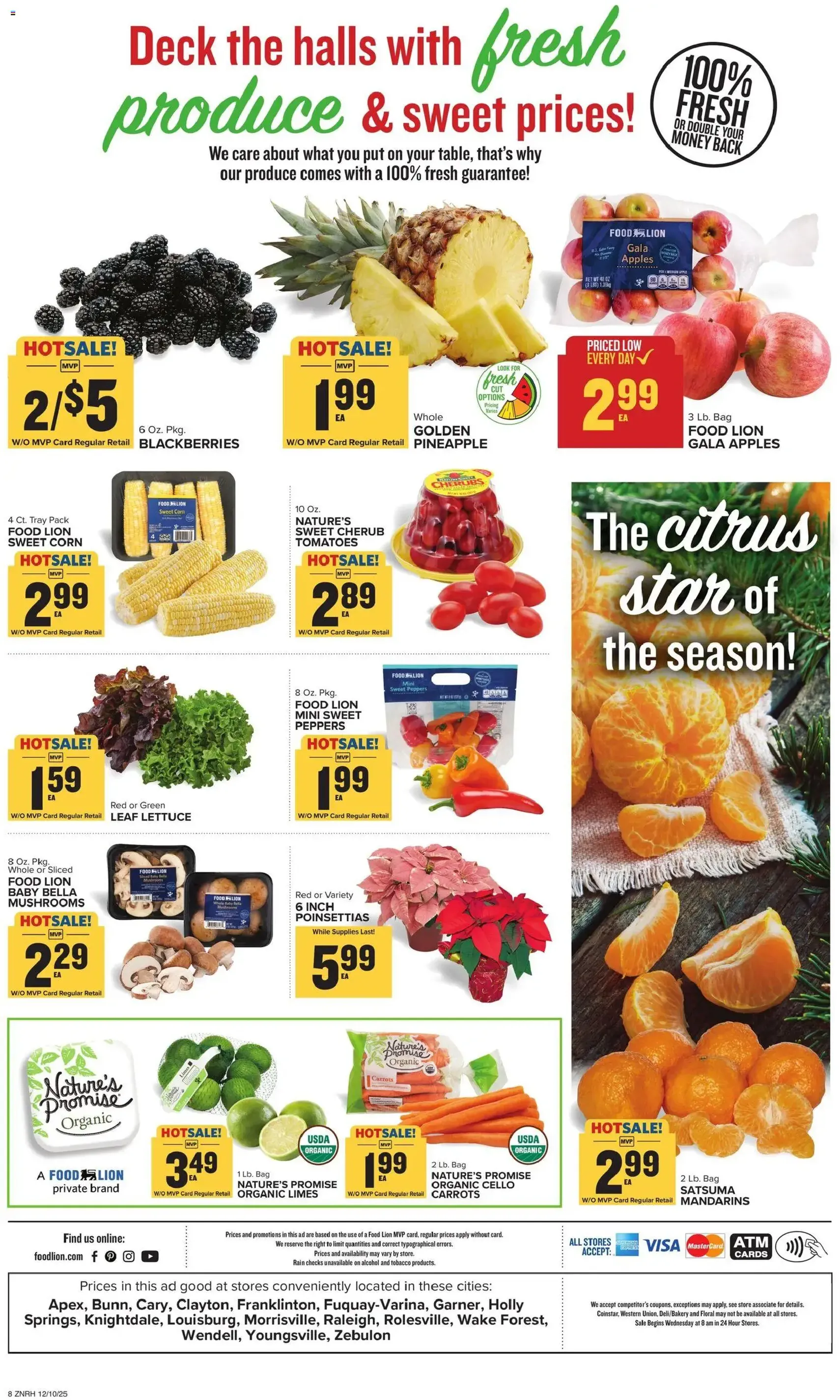 Food Lion Weekly Ad - valid flyer from 12/10/2025, page 15 of 21