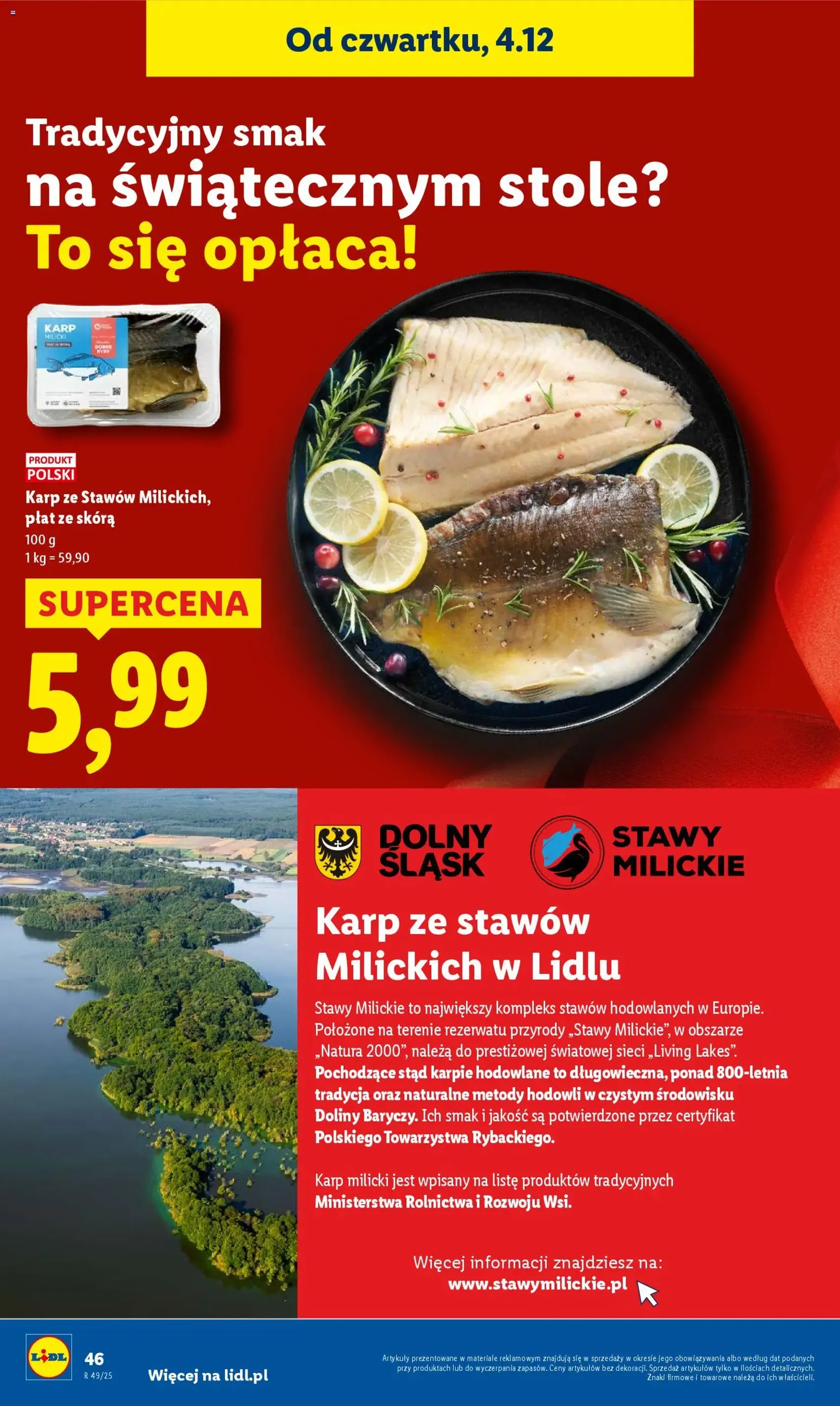 Lidl Gazetka - ważny gazetka od 04.12.2025 strona 48 z 76