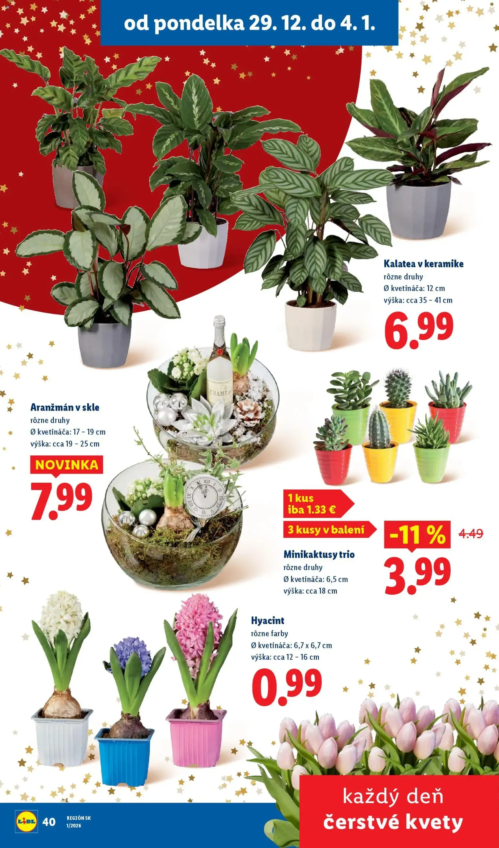 Lidl leták - platný leták od 02.01.2026 strana 41 z 61