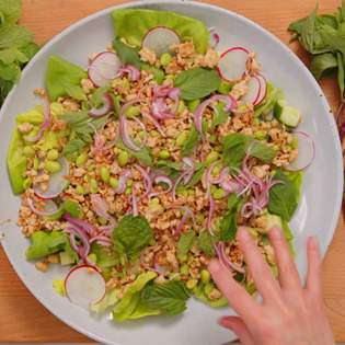 Recipe preview Healthy homemade chicken larb salad recipe