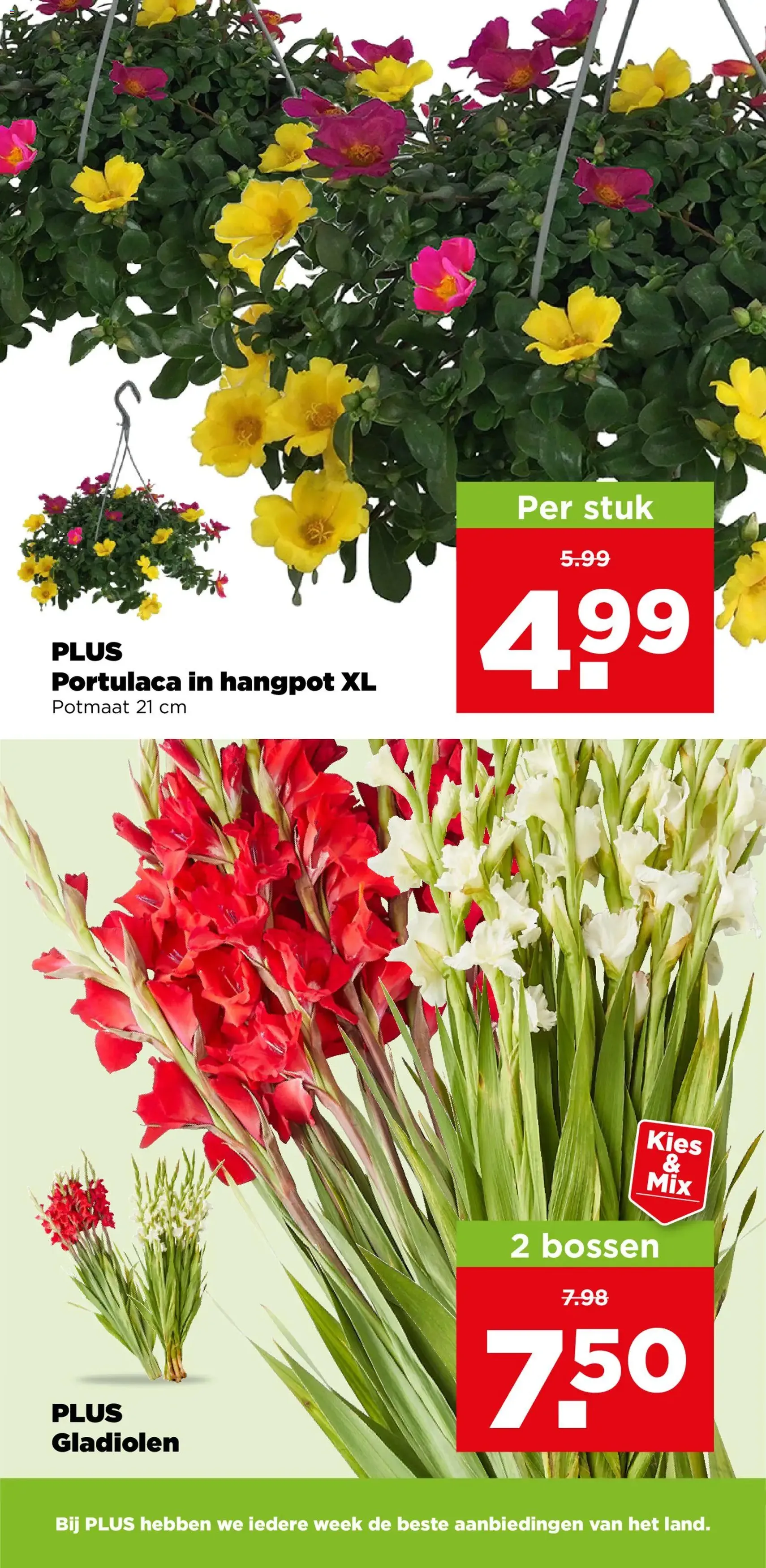 Plus folder week 29 - geldige folder vanaf 15-07-2026 pagina 39 van 43
