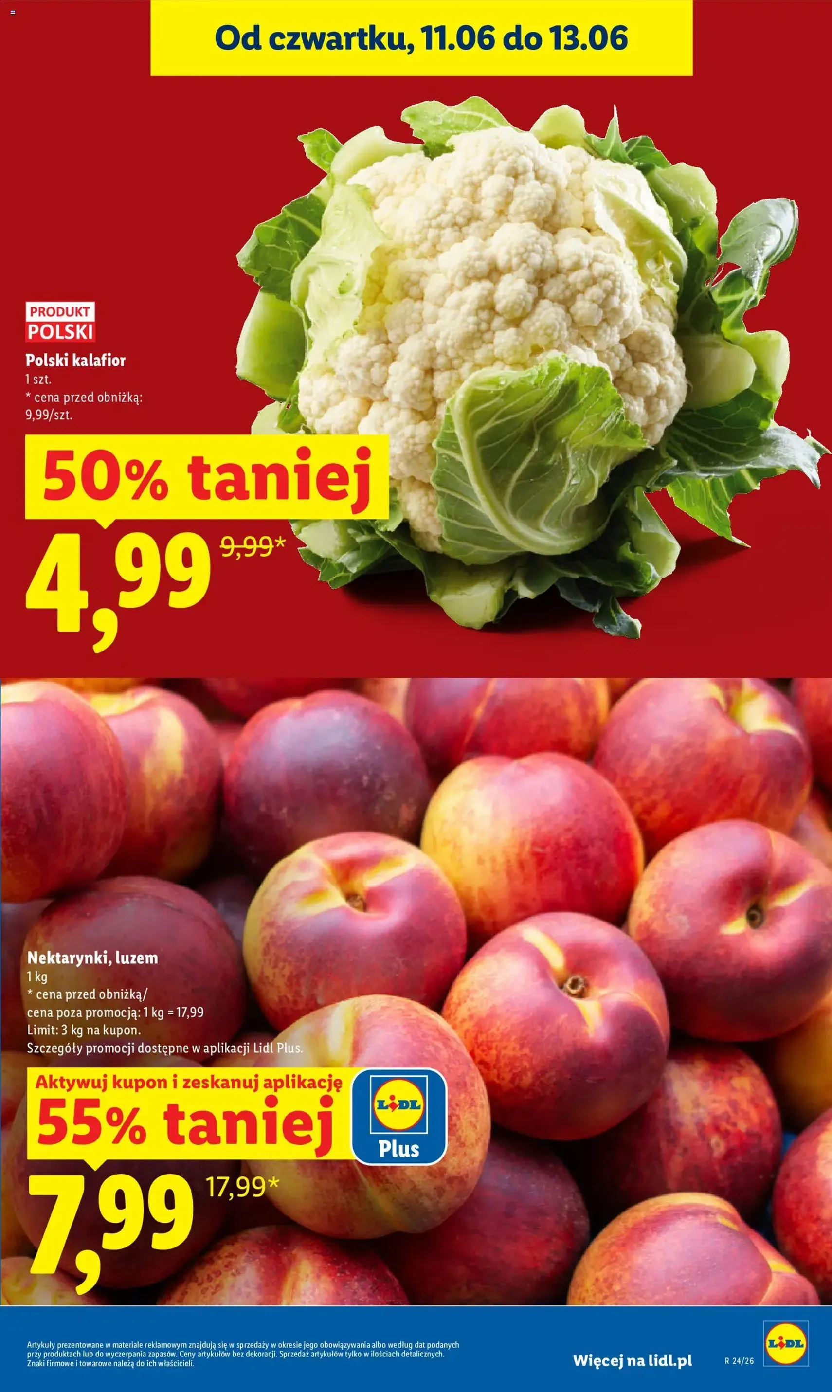 Lidl gazetka - ważny gazetka od 11.06.2026 strona 19 z 96
