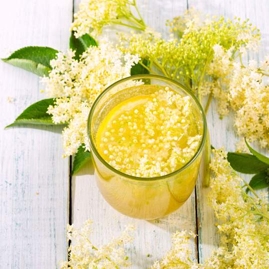Anteprima ricetta Succo di fiori di sambuco