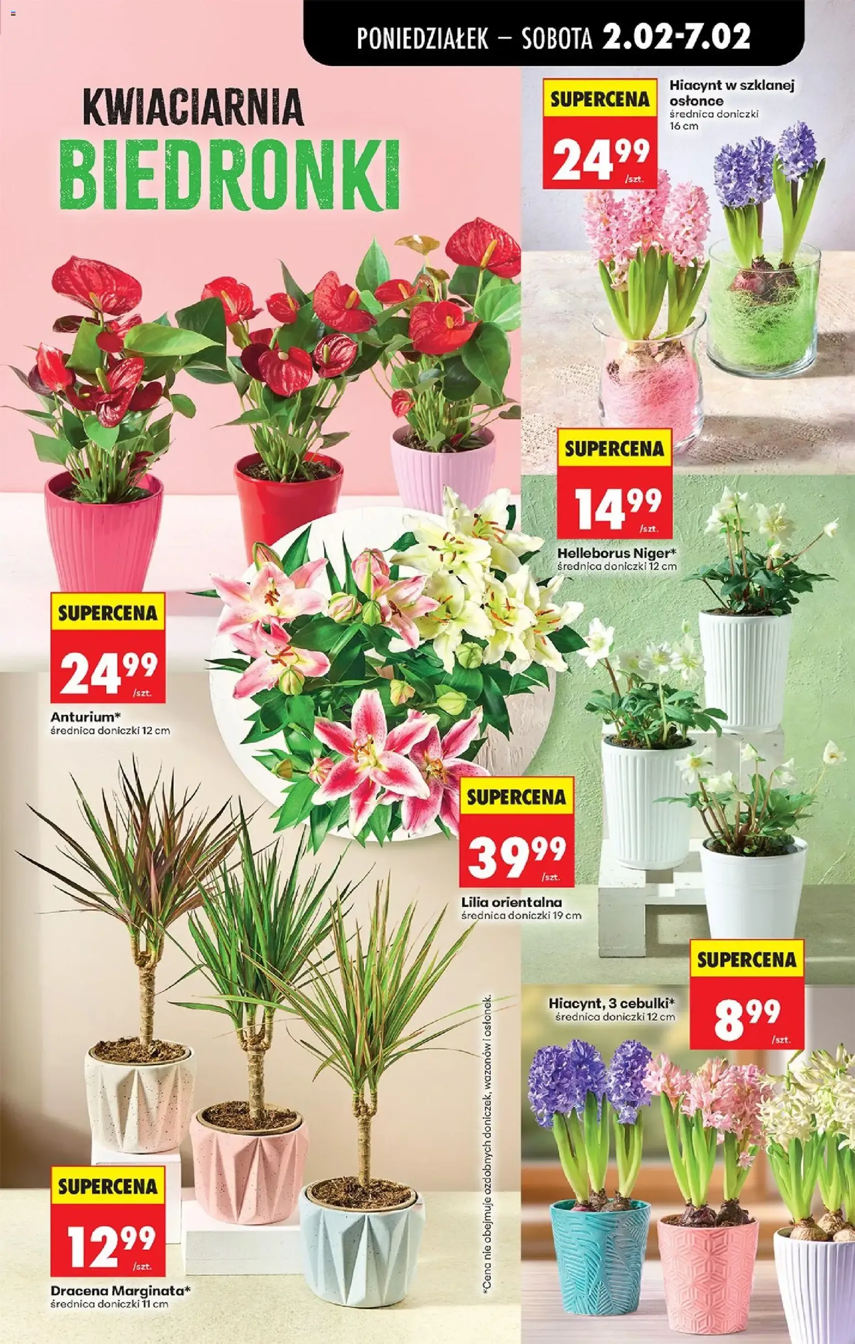 Biedronka gazetka - ważny gazetka od 02.02.2026 strona 31 z 86