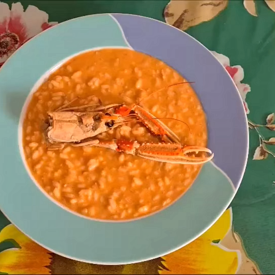 Anteprima ricetta Risotto alla crema di scampi