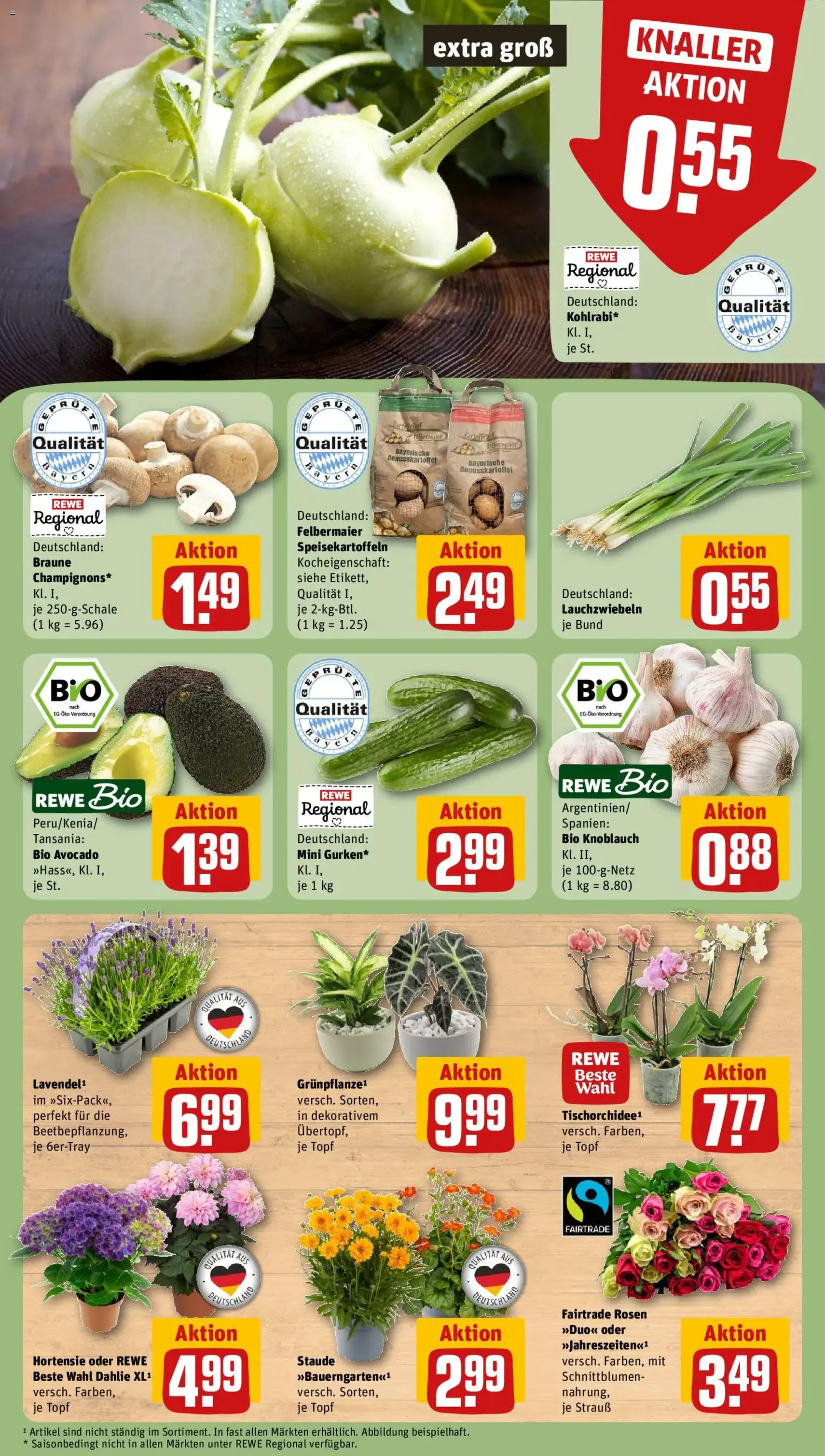 Rewe DE - DE Folder - geldige folder vanaf 29-06-2026 pagina 9 van 28