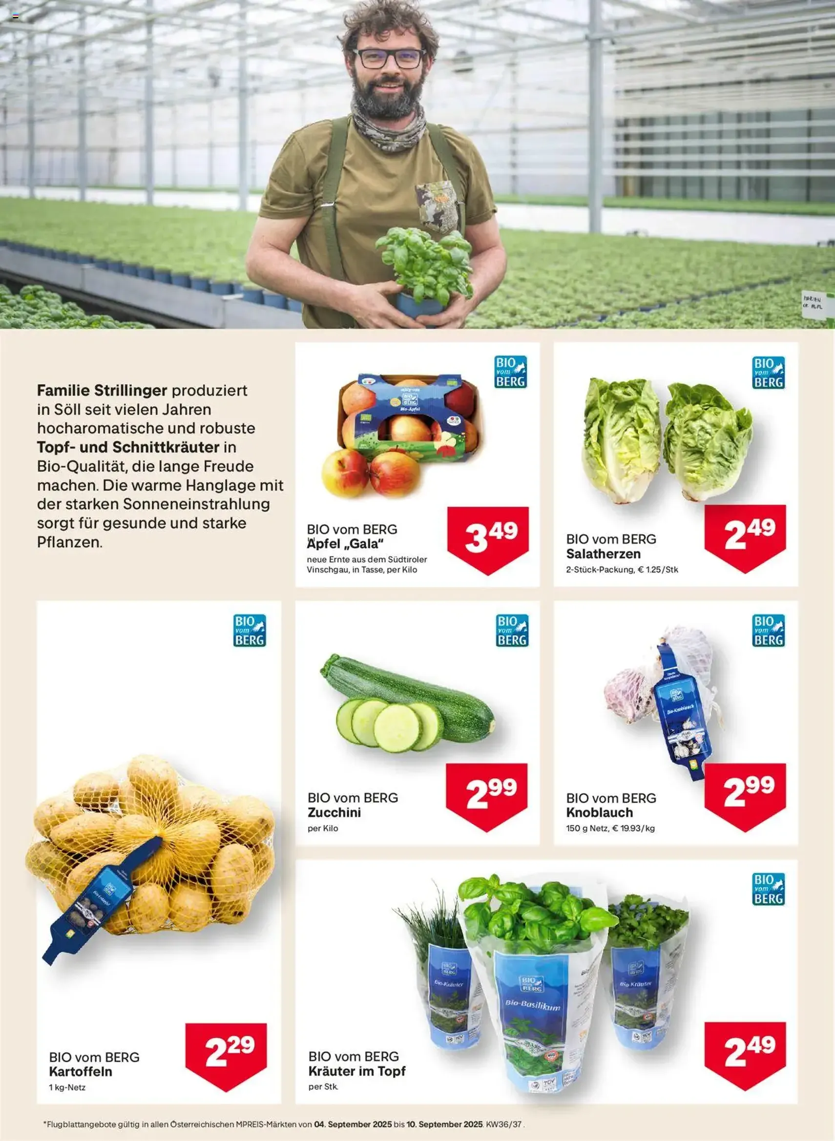 MPREIS Flugblatt - Gültiger Prospekt ab 04.09.2025, Seite 10 von insgesamt 16 MPREIS Flugblatt - Gültiger Prospekt ab 04.09.2025, Seite 10 von insgesamt 16