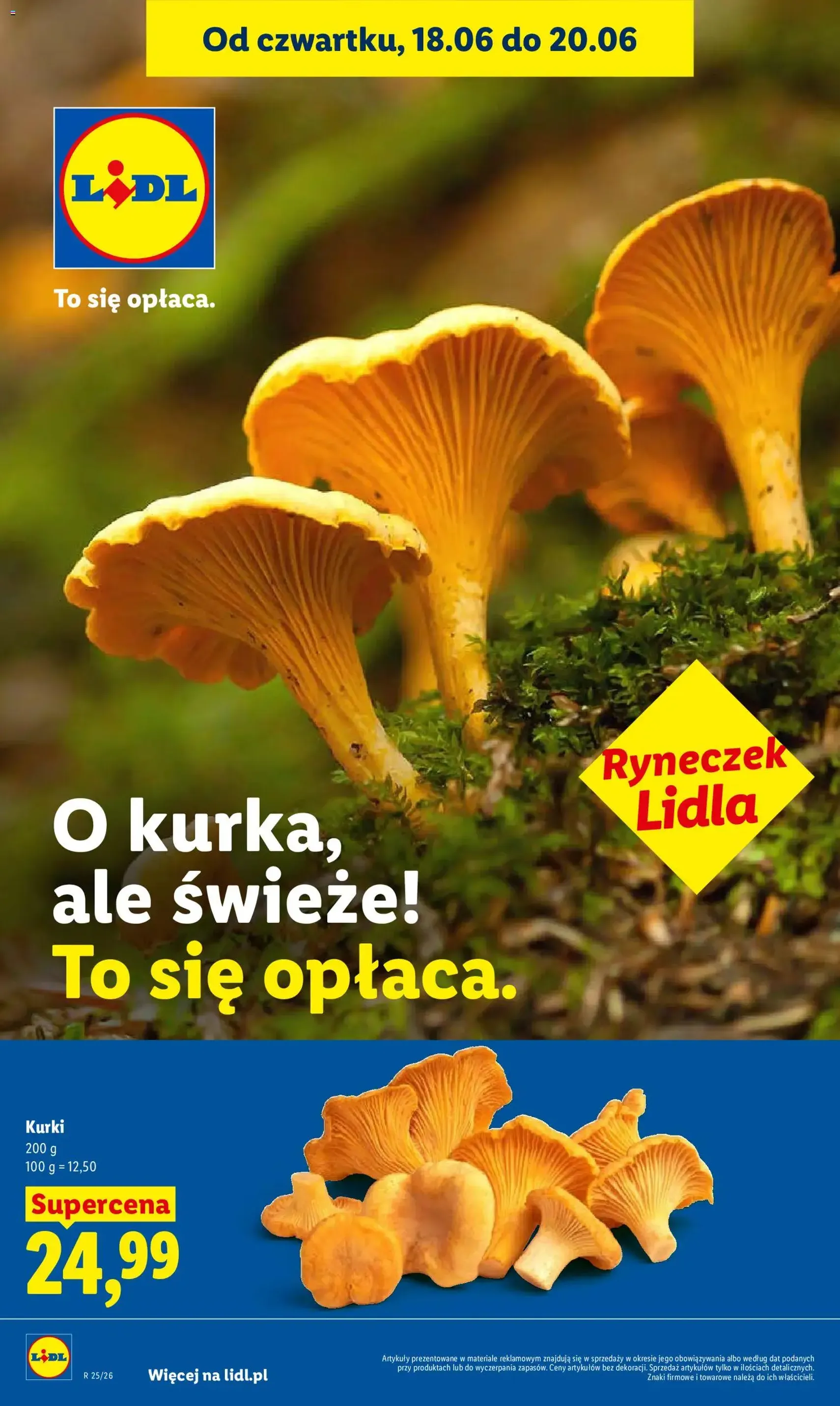 Lidl gazetka - ważny gazetka od 18.06.2026 strona 38 z 89