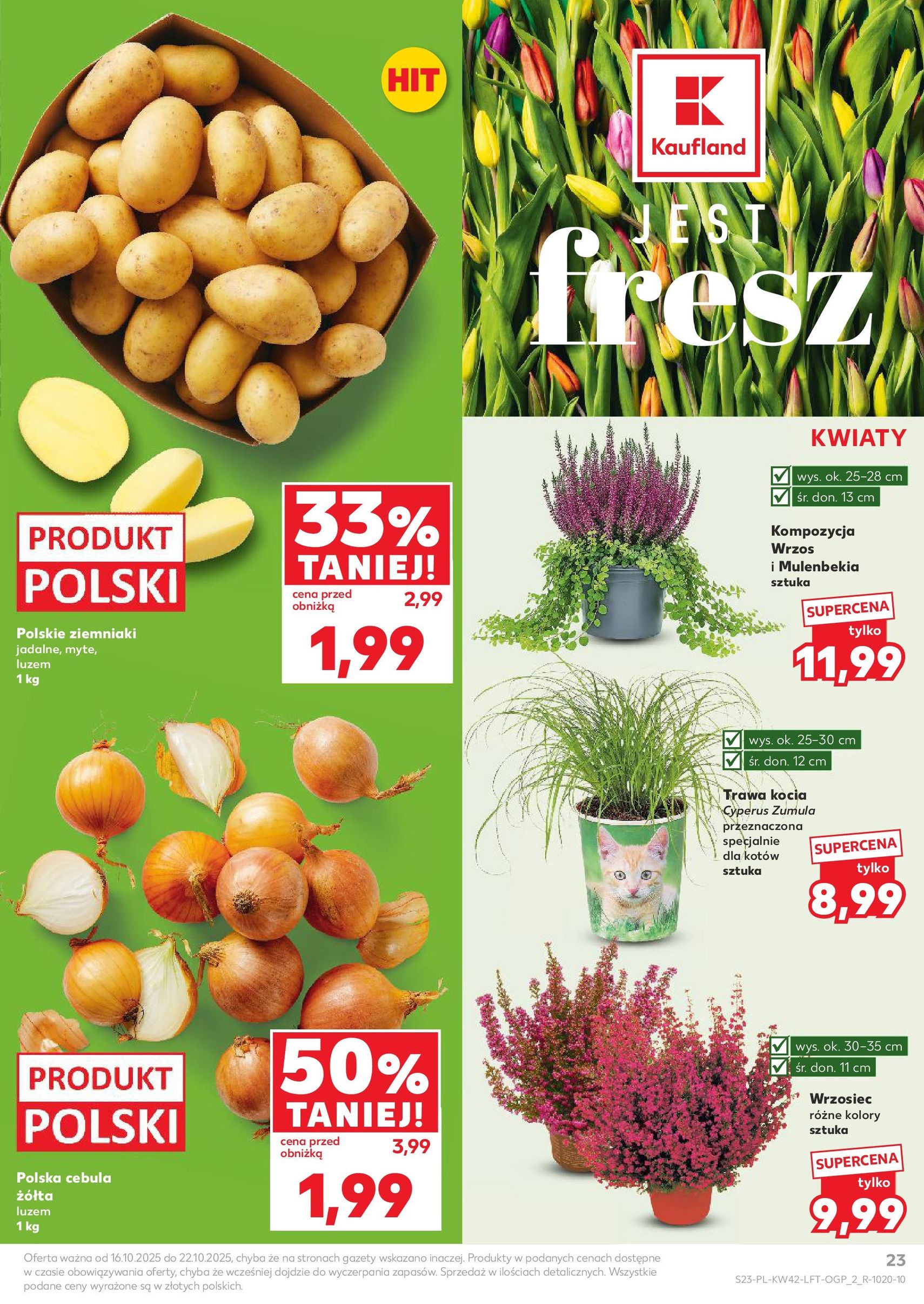 Kaufland gazetka - ważny gazetka od 16.10.2025 strona 23 z 63 Kaufland gazetka - ważny gazetka od 16.10.2025 strona 23 z 63