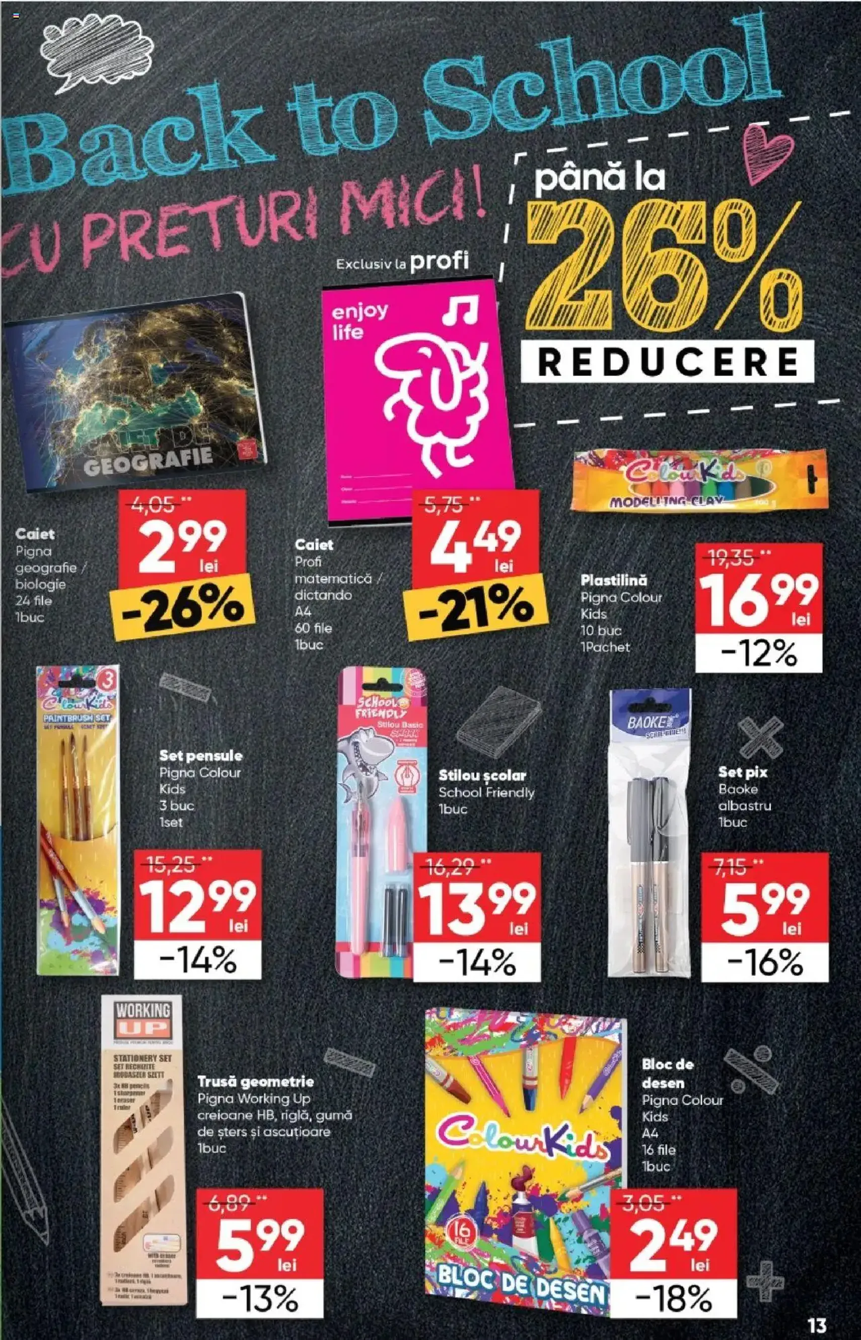 Catalog Profi - cataloage valabile începând cu 20.08.2025 pagina 13 din 17