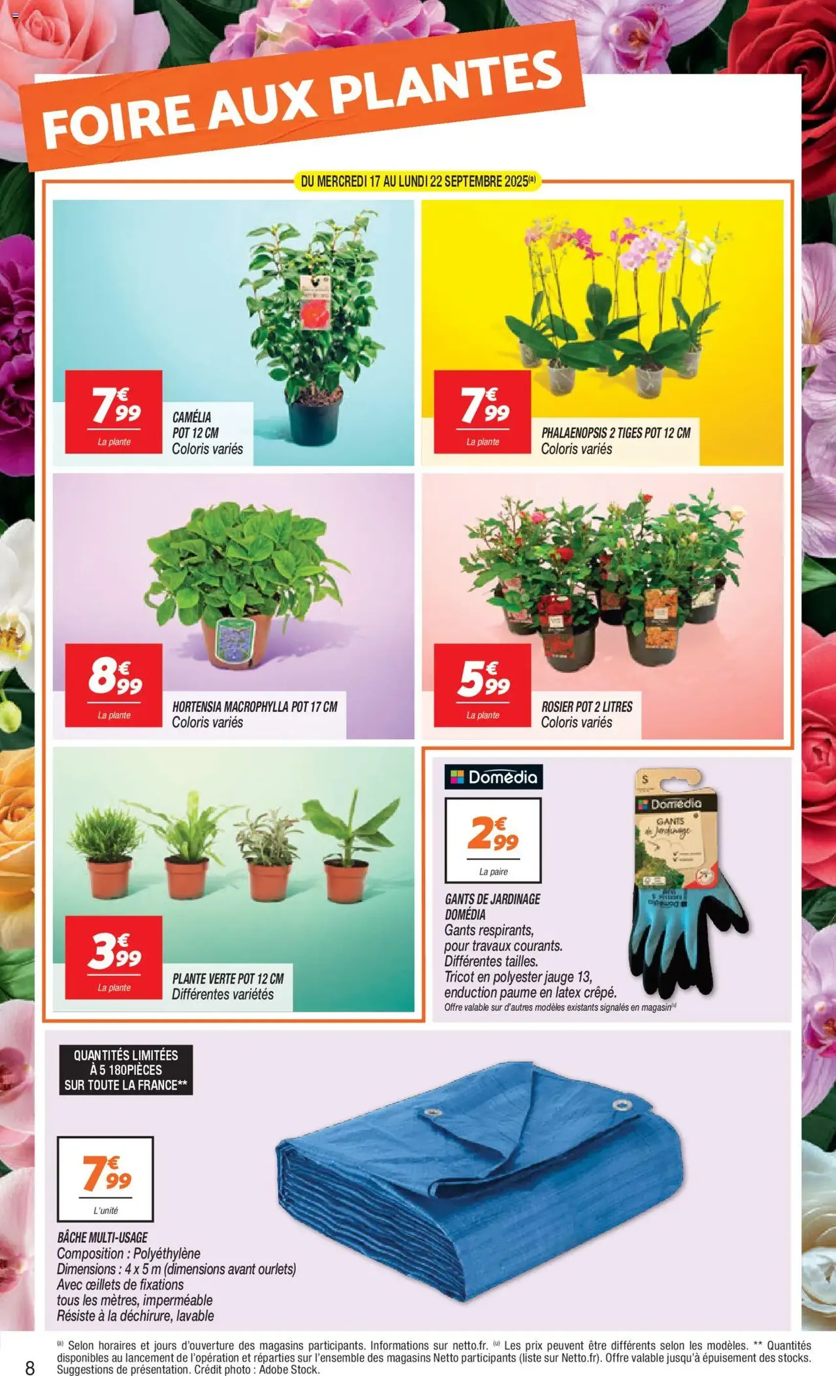 Netto catalogue - brochure valable à partir du 16/09/2025, page 8 sur 16