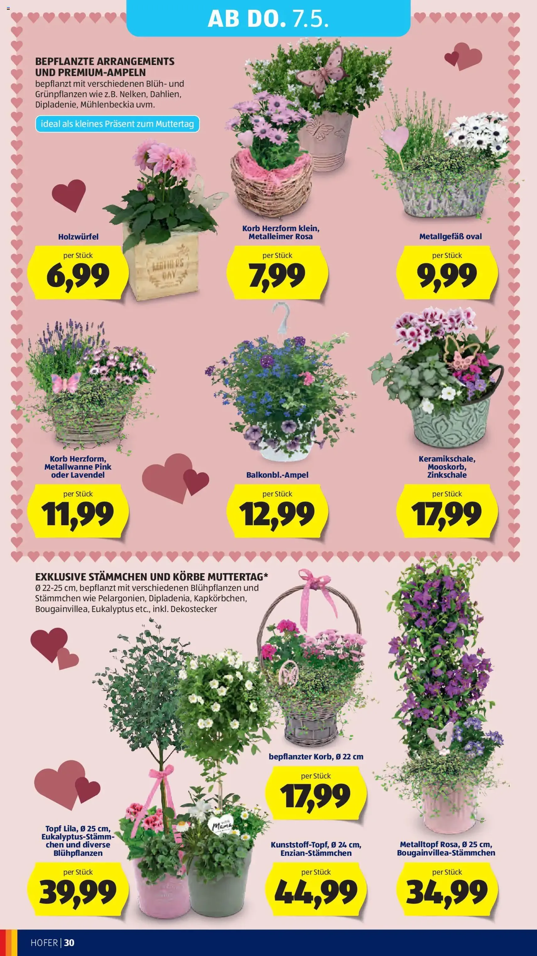 Hofer Flugblatt - Gültiger Prospekt ab 29.04.2026, Seite 36 von insgesamt 47