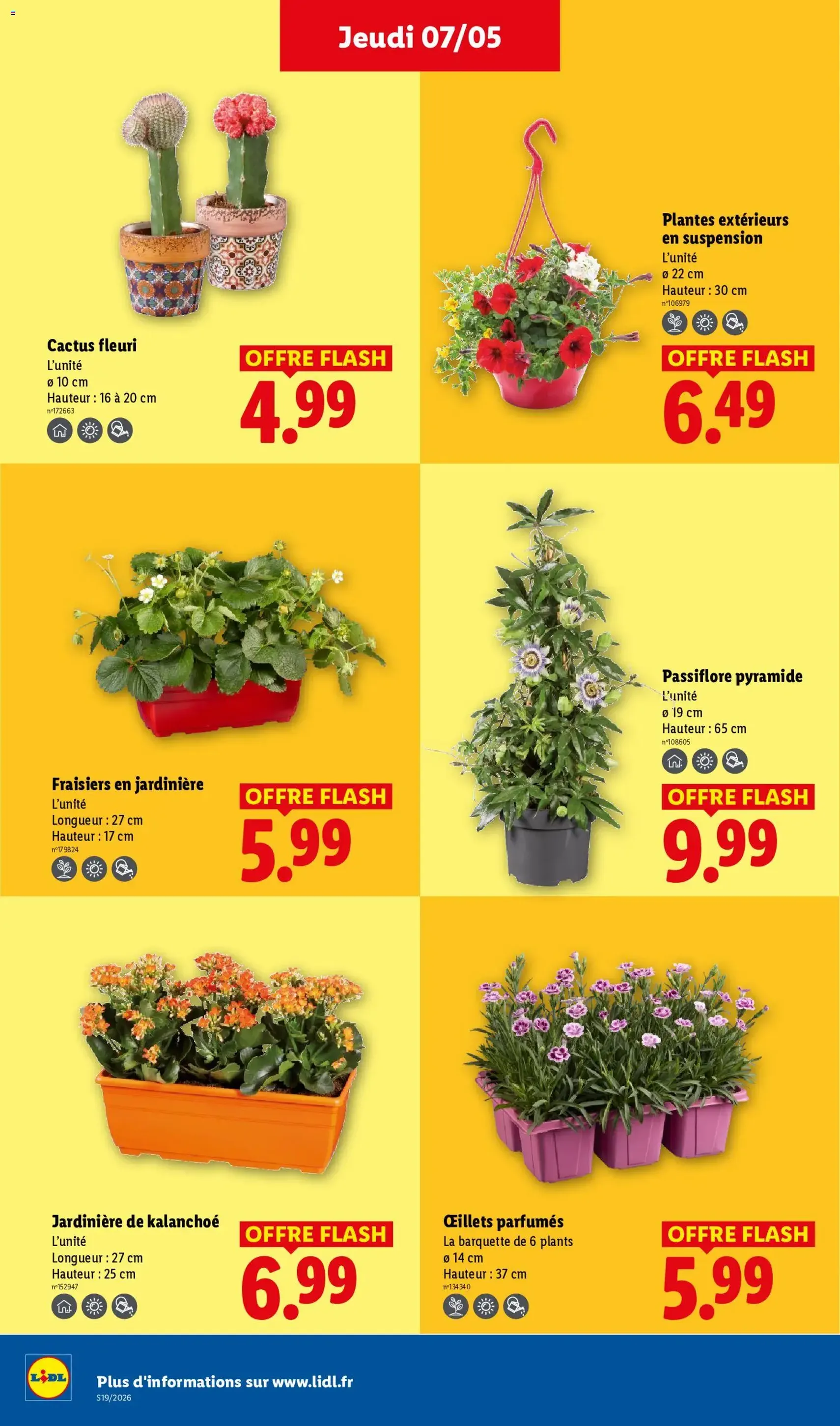 LIDL catalogue - brochure valable à partir du 07/05/2026, page 26 sur 67