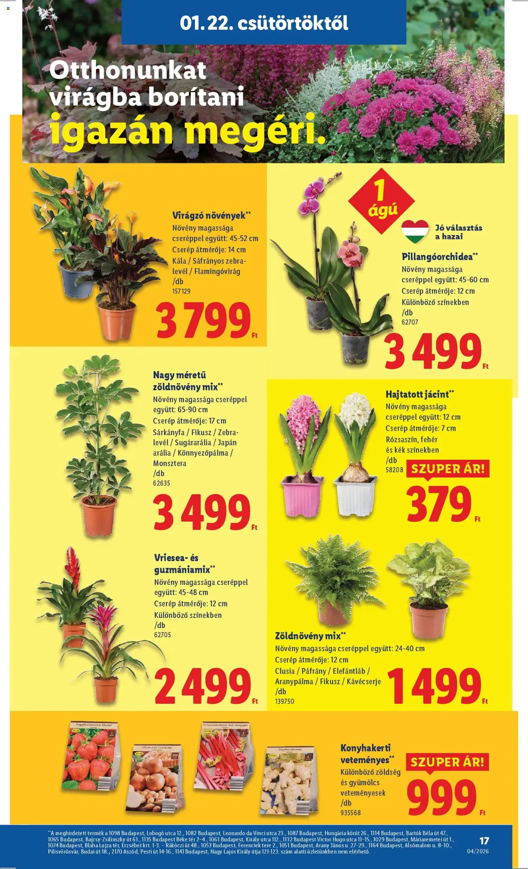 Lidl Akciós újság - 2026.01.22. érvényes szórólap 17 oldal 58 oldalból