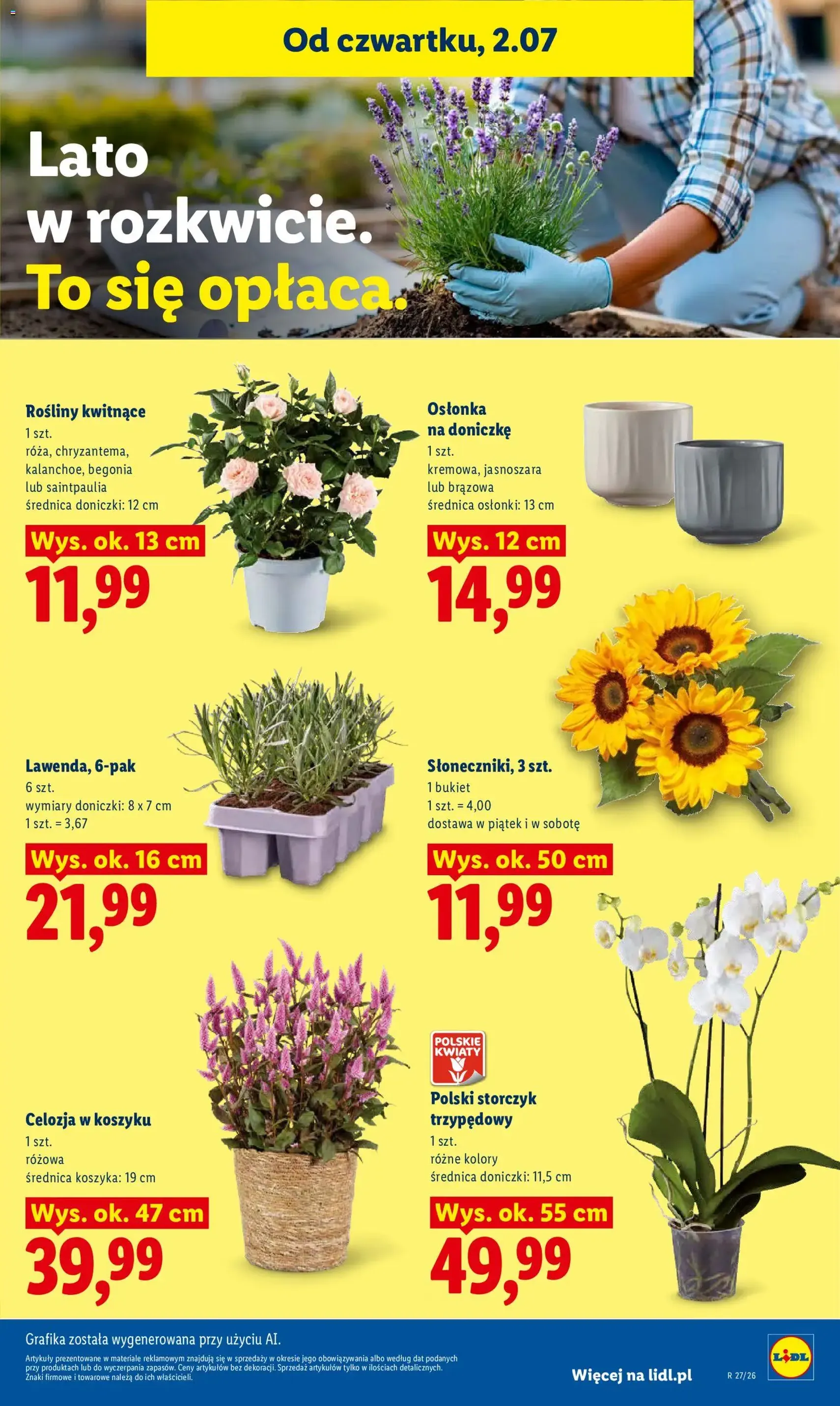 Lidl gazetka - ważny gazetka od 02.07.2026 strona 81 z 90