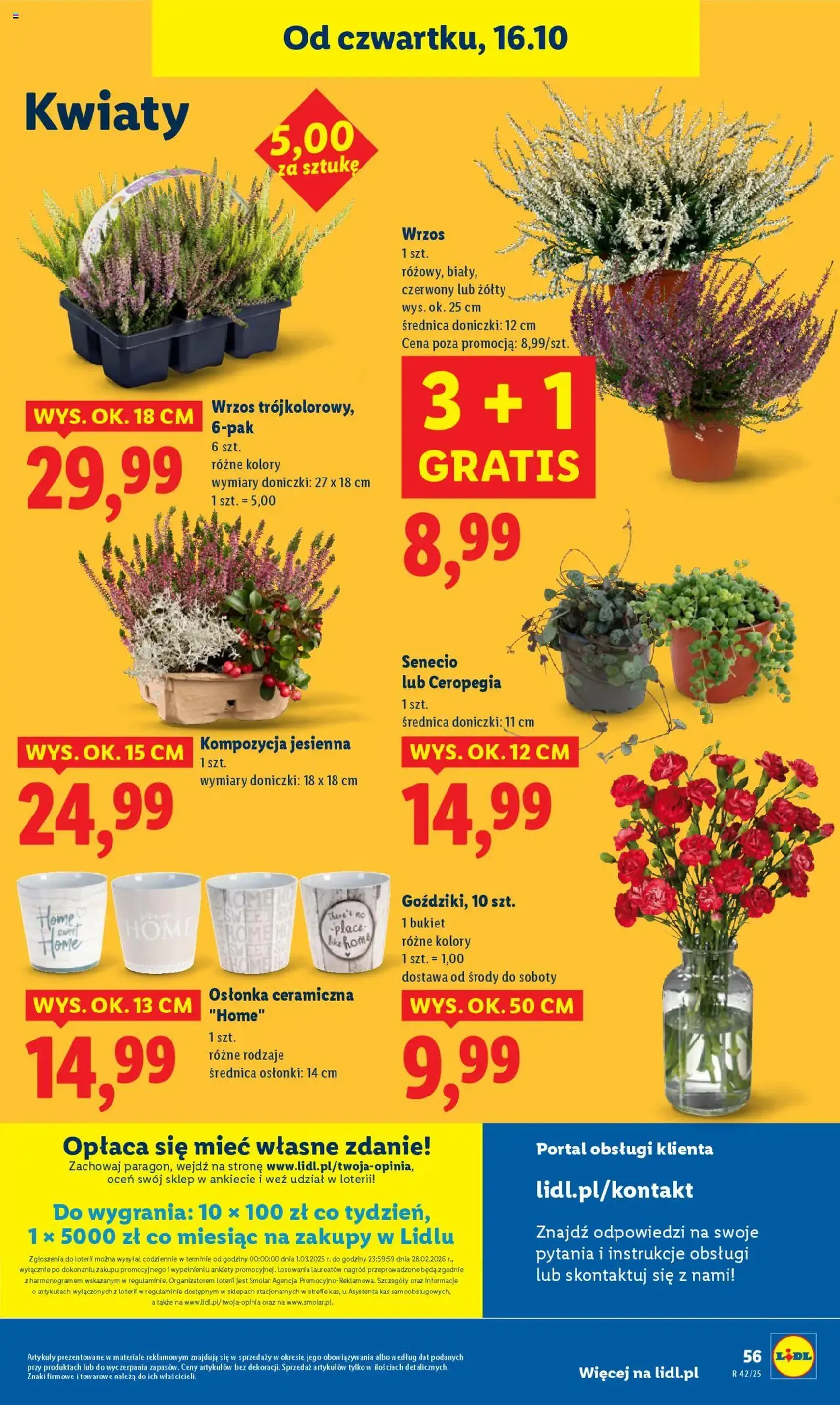 Lidl Gazetka - ważny gazetka od 16.10.2025 strona 60 z 65 Lidl Gazetka - ważny gazetka od 16.10.2025 strona 60 z 65