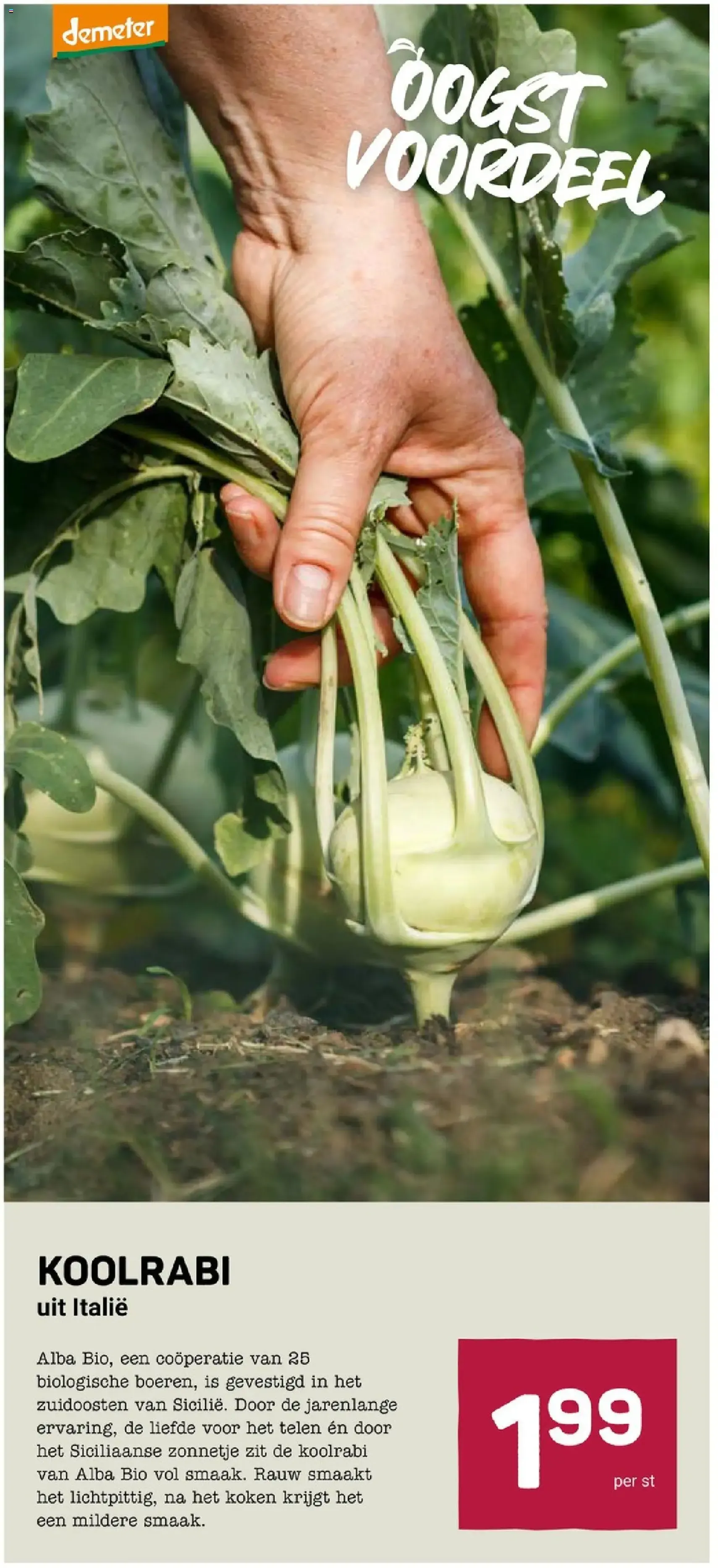 Ekoplaza - Folder week 9 - geldige folder vanaf 25-02-2026 pagina 13 van 18