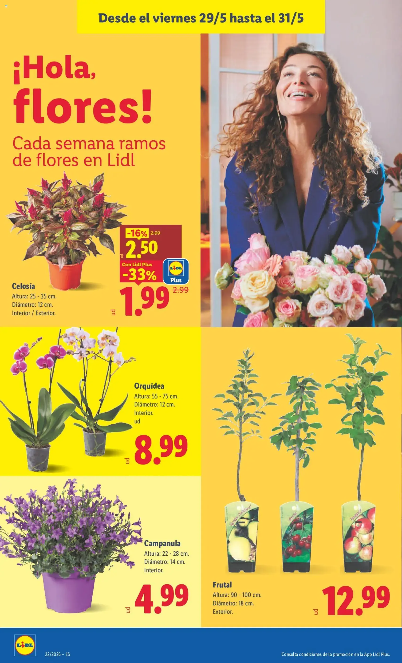 Lidl folleto - folleto válido desde 25/05/2026 página 34 de 35