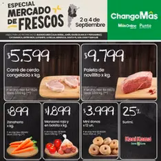 Vista previa del folleto Punto Mayorista catálogo válido desde 02/09/2025